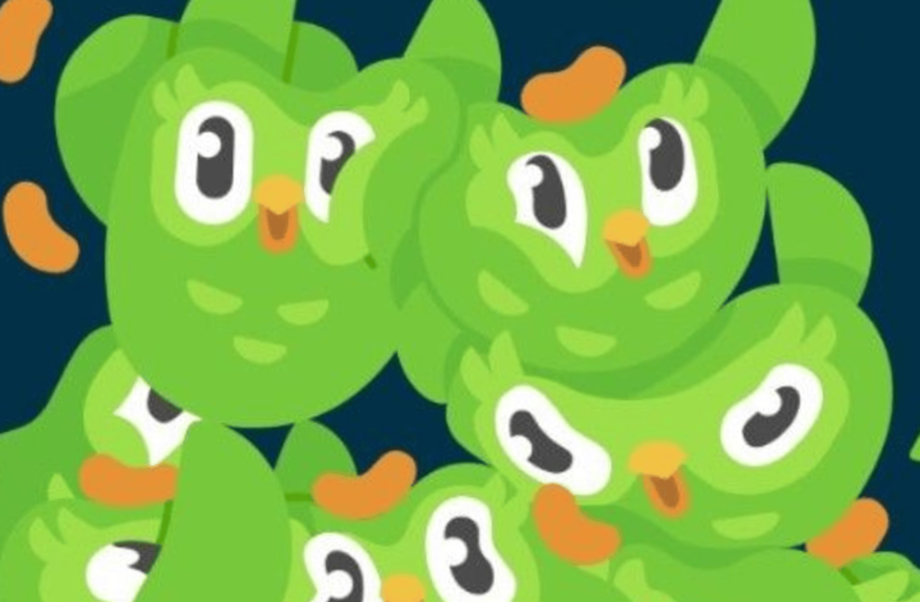 Duolingo Moldova