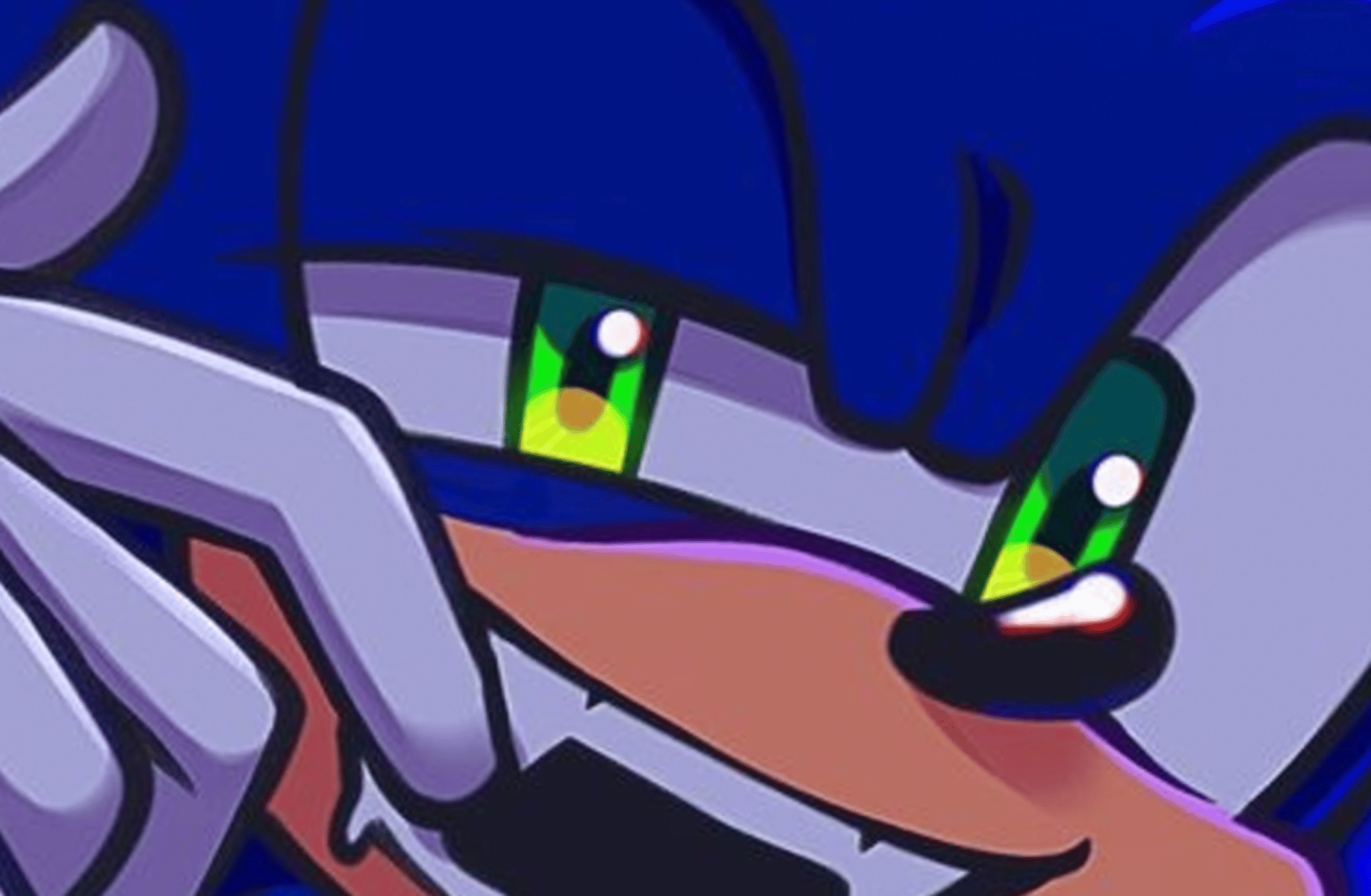 Sonic the hedgehog