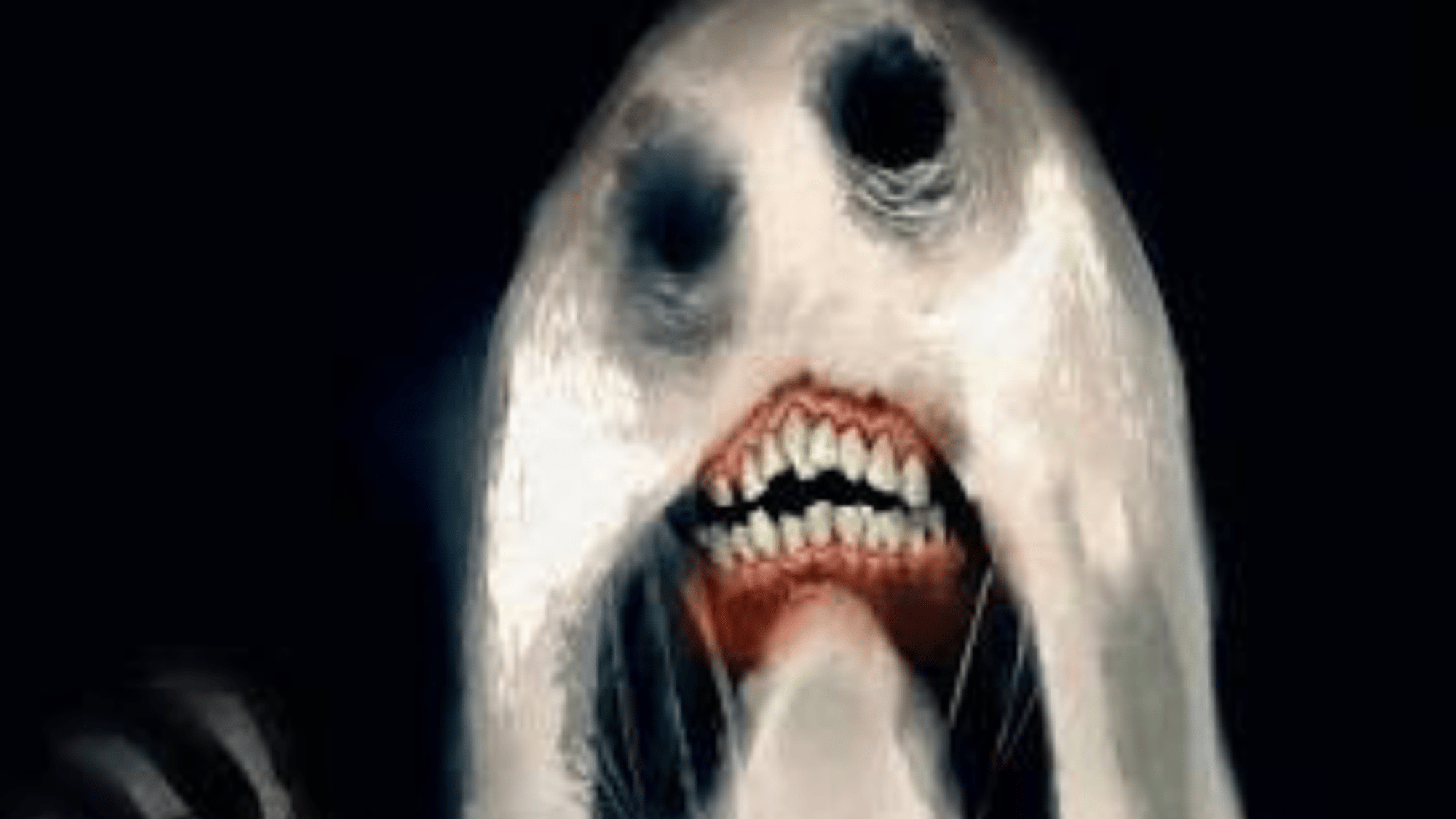 Night eater