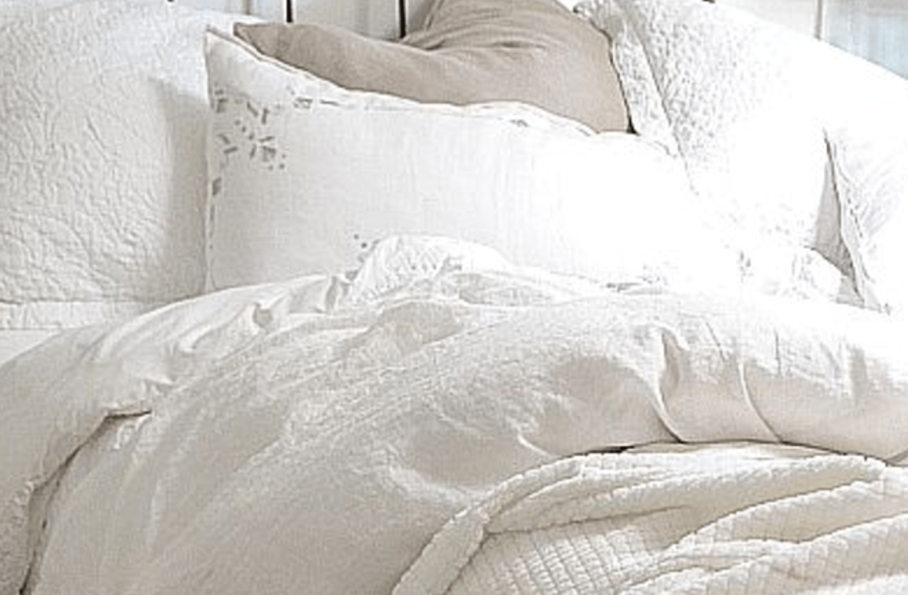 Dexter - CEO & Husband