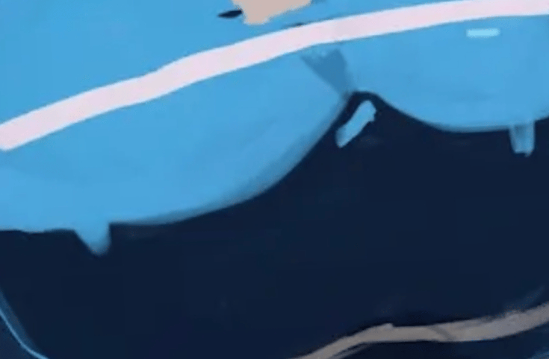 Temmie