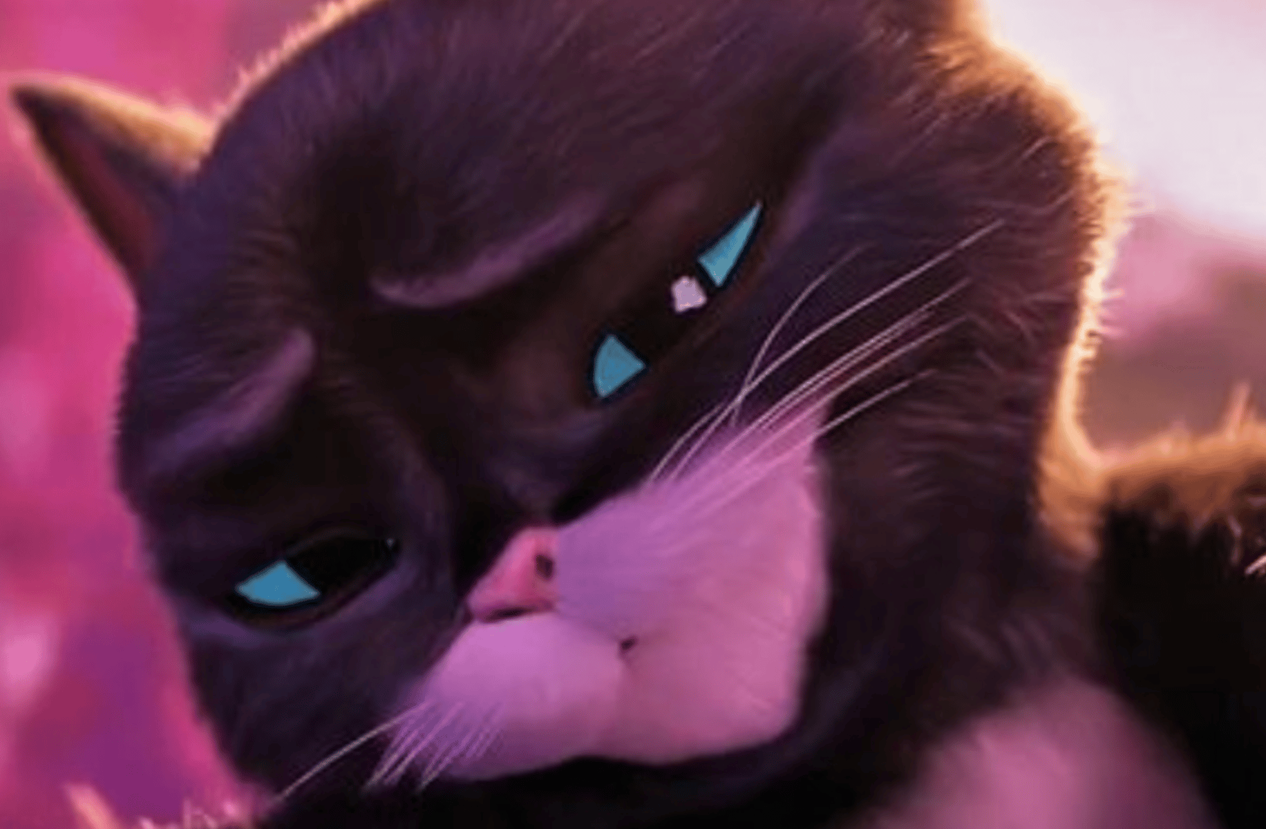 Kitty (the last wish)