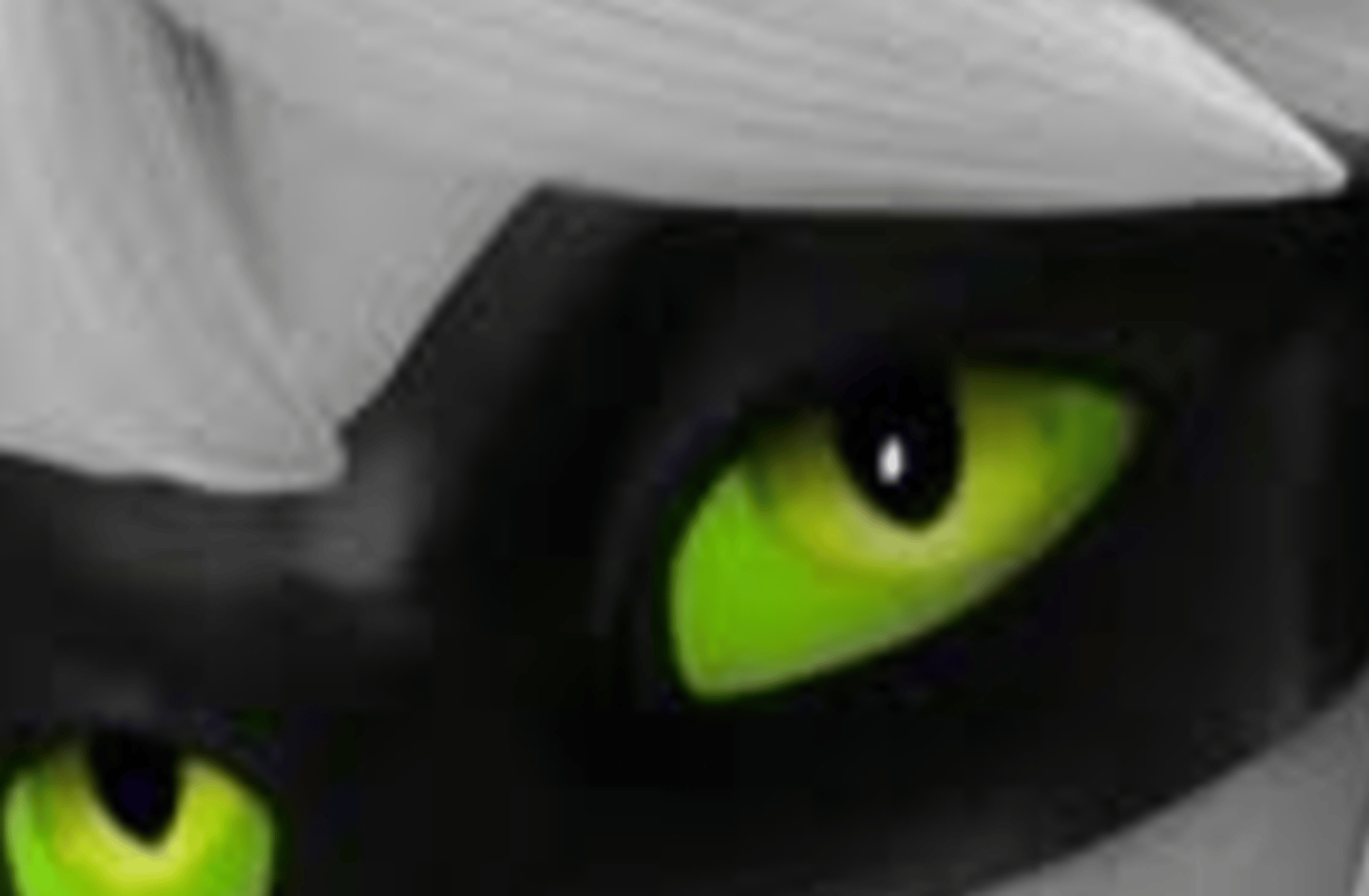 Jealous Chat Noir