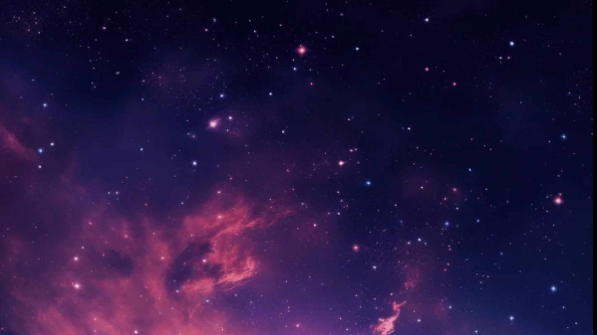 Aster