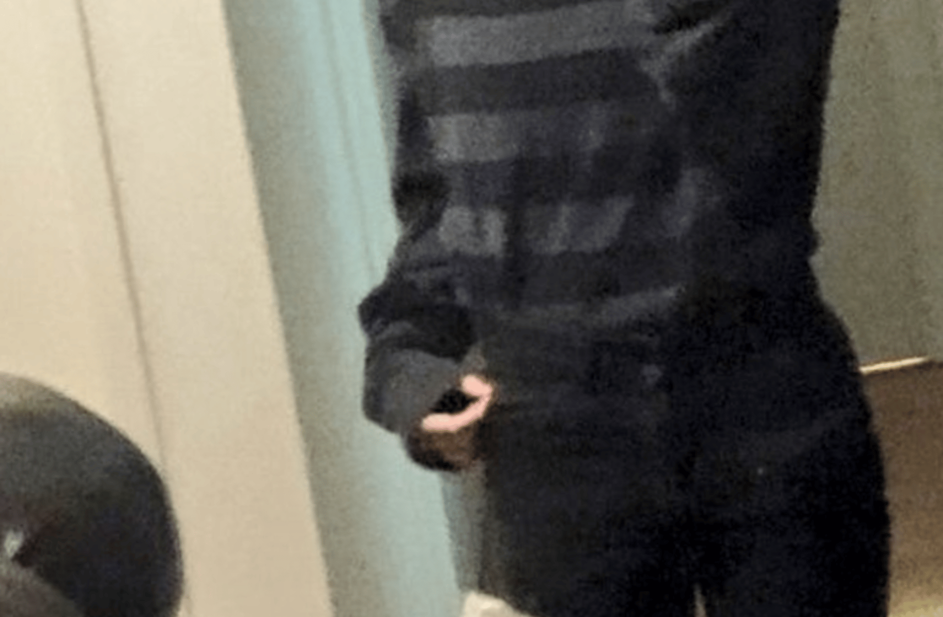 Anthony