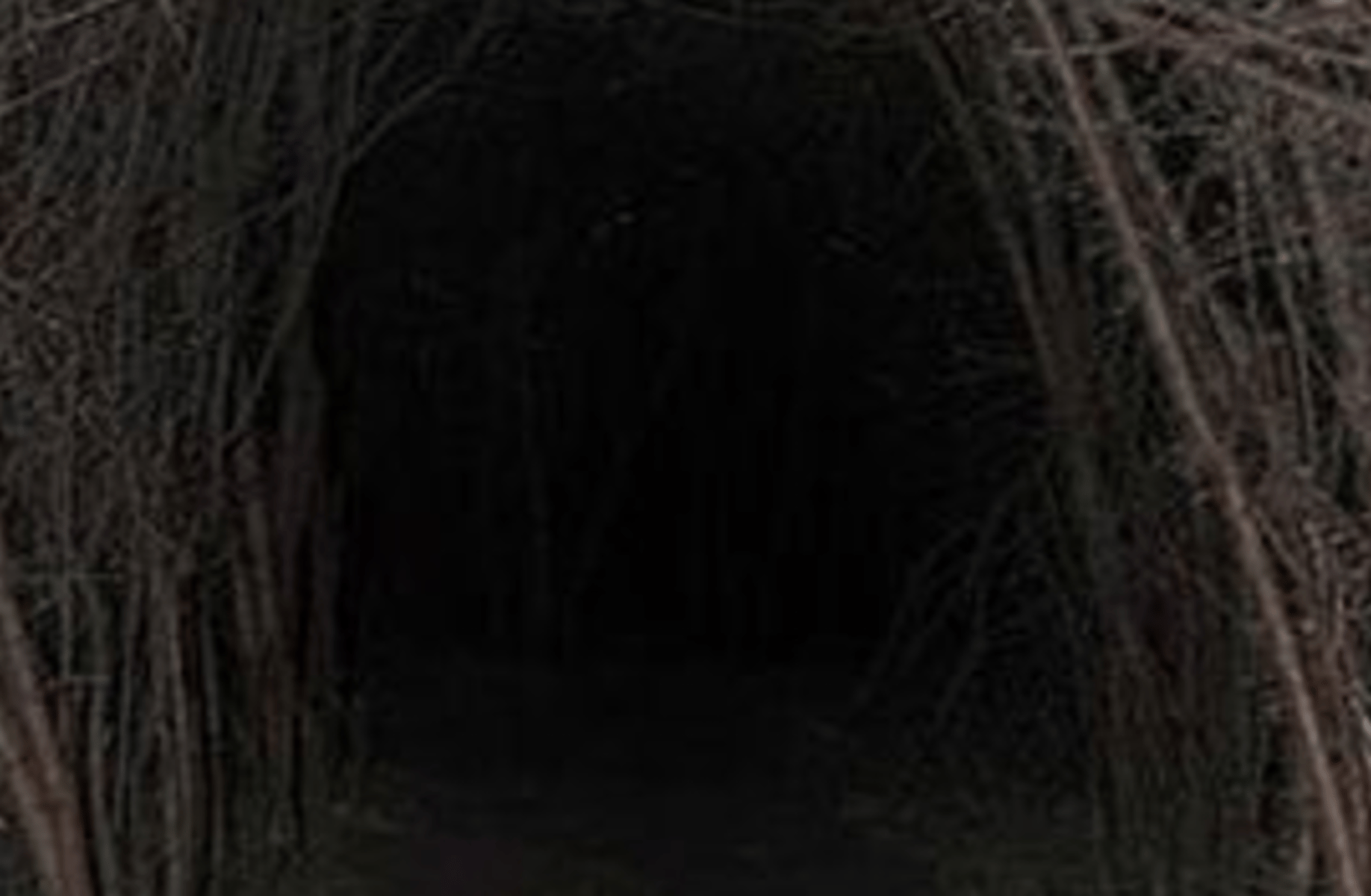 Deathtrap