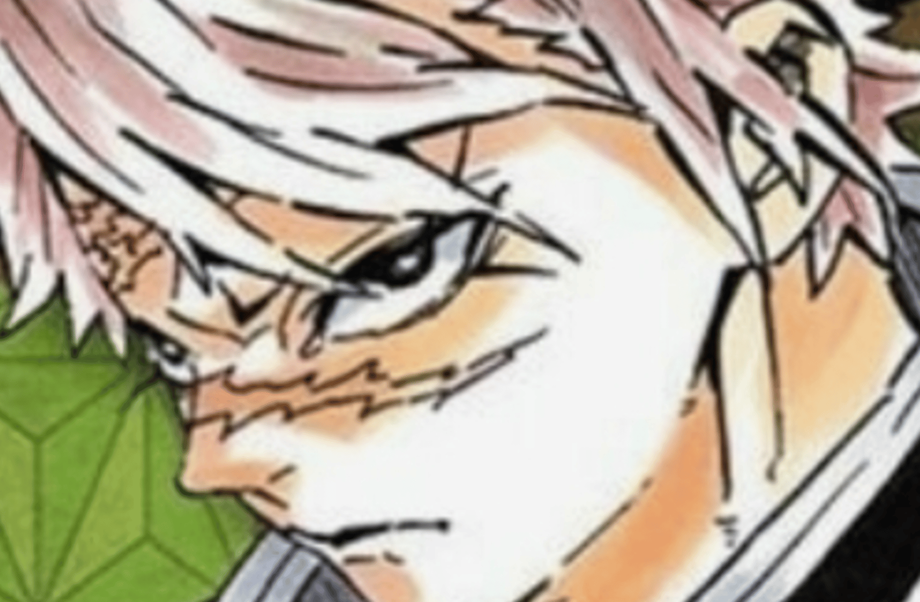 Sanemi shinazugawa