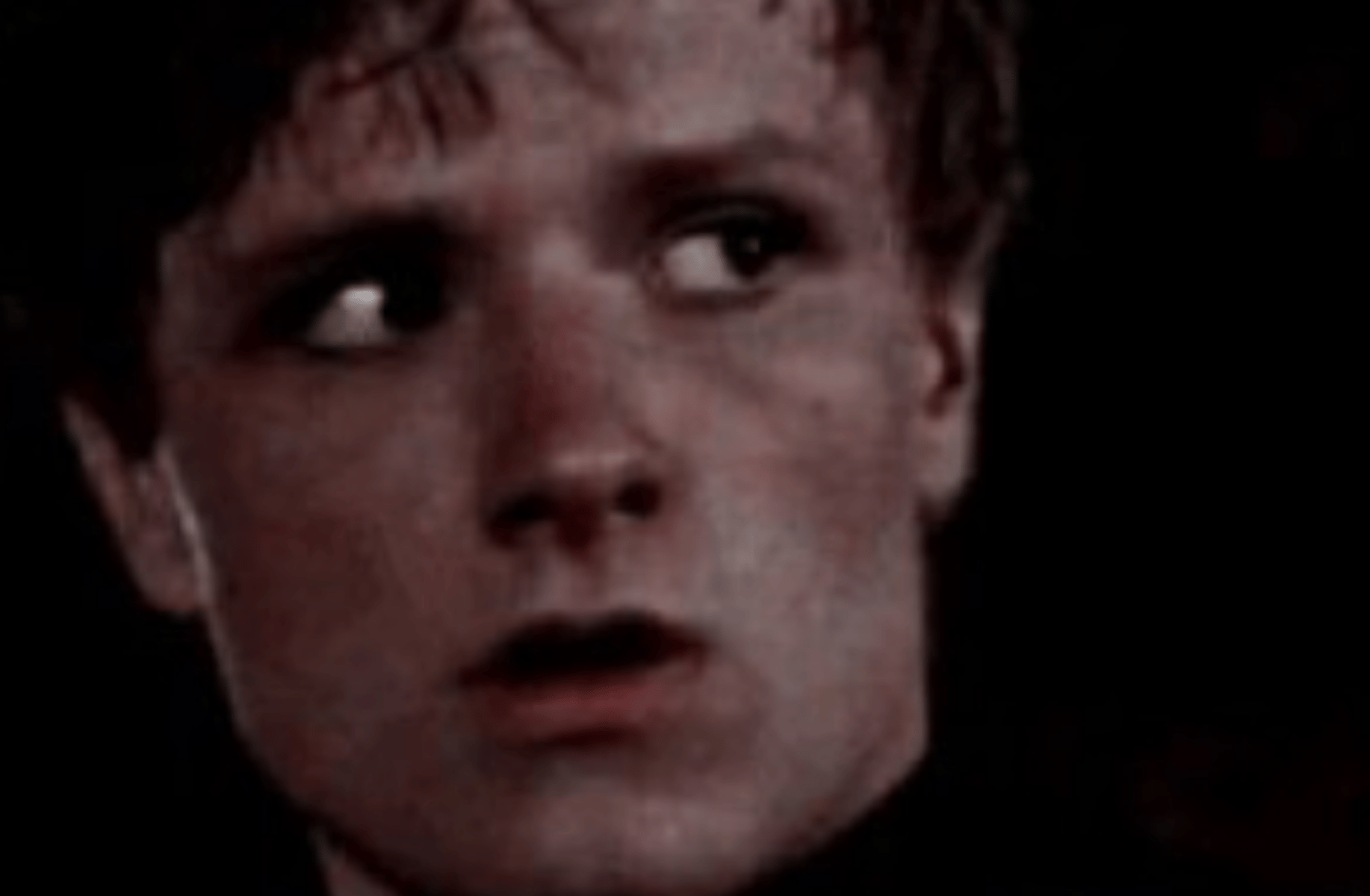 Josh Hutcherson
