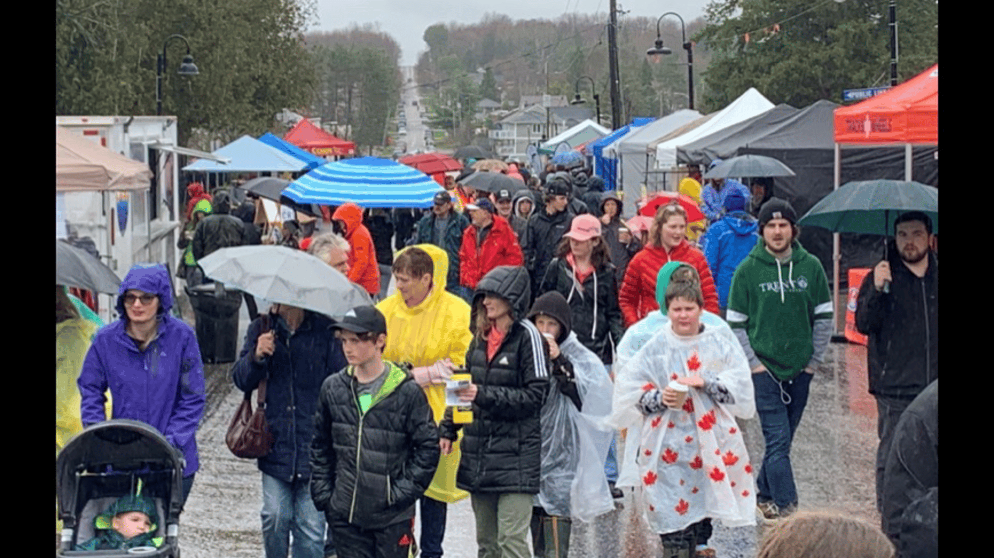 syrup Festival goers