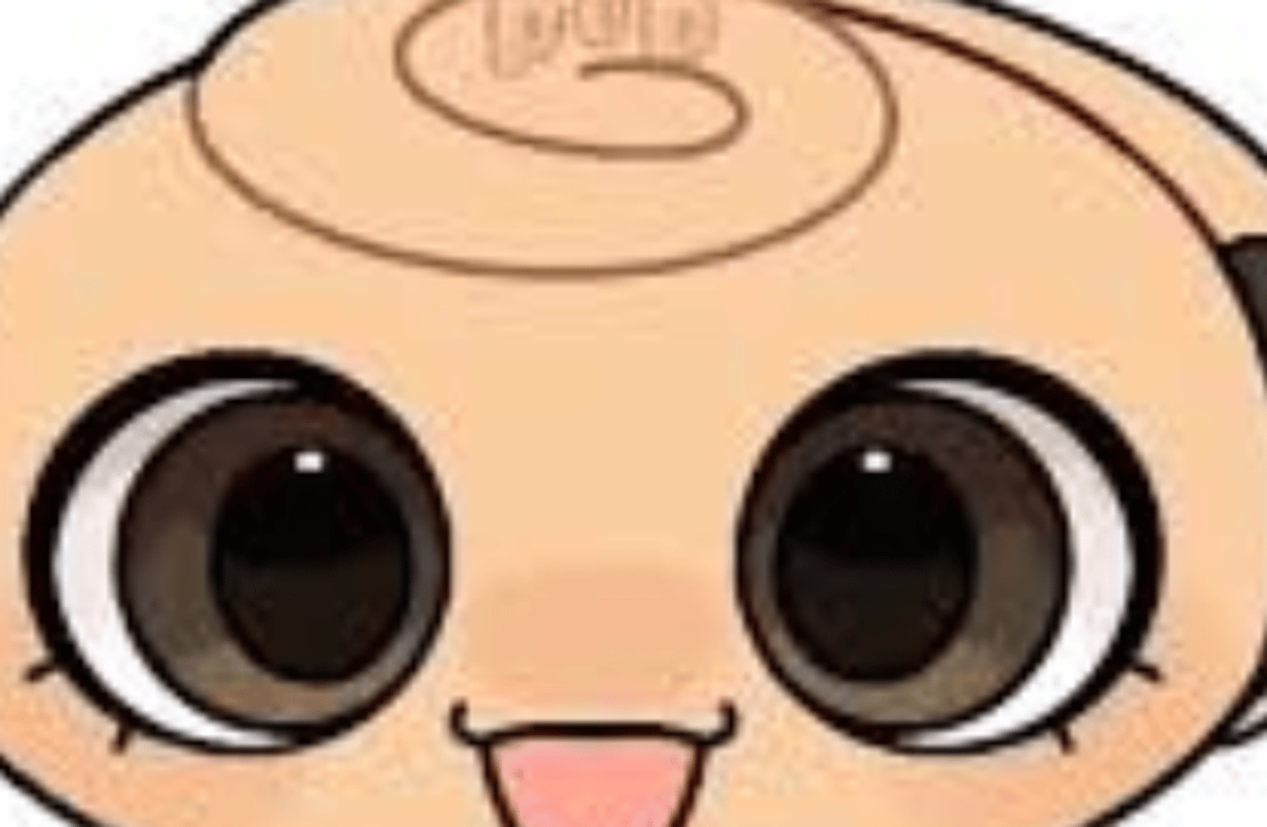 Baby shelly