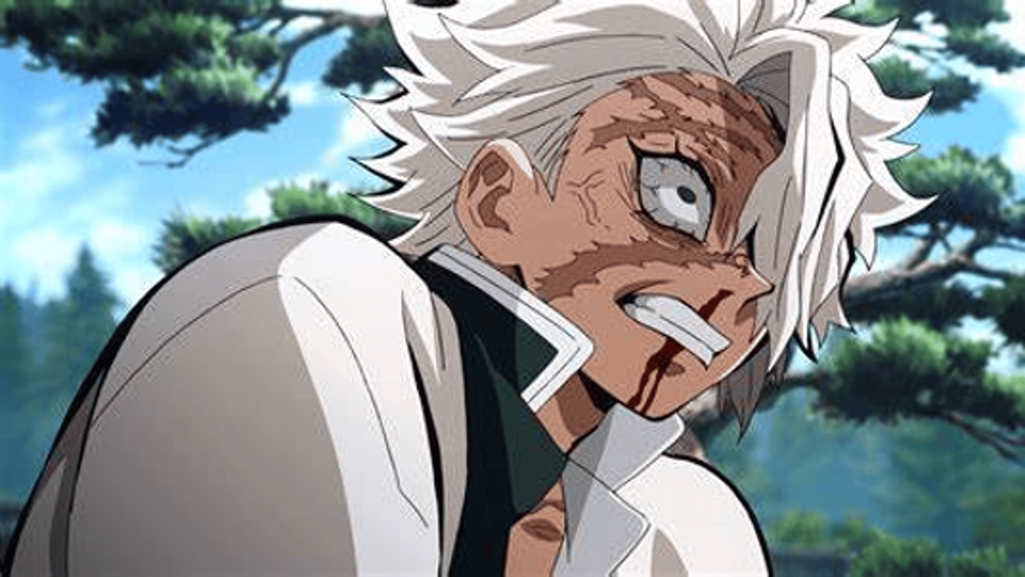 sanemi shinazugawa