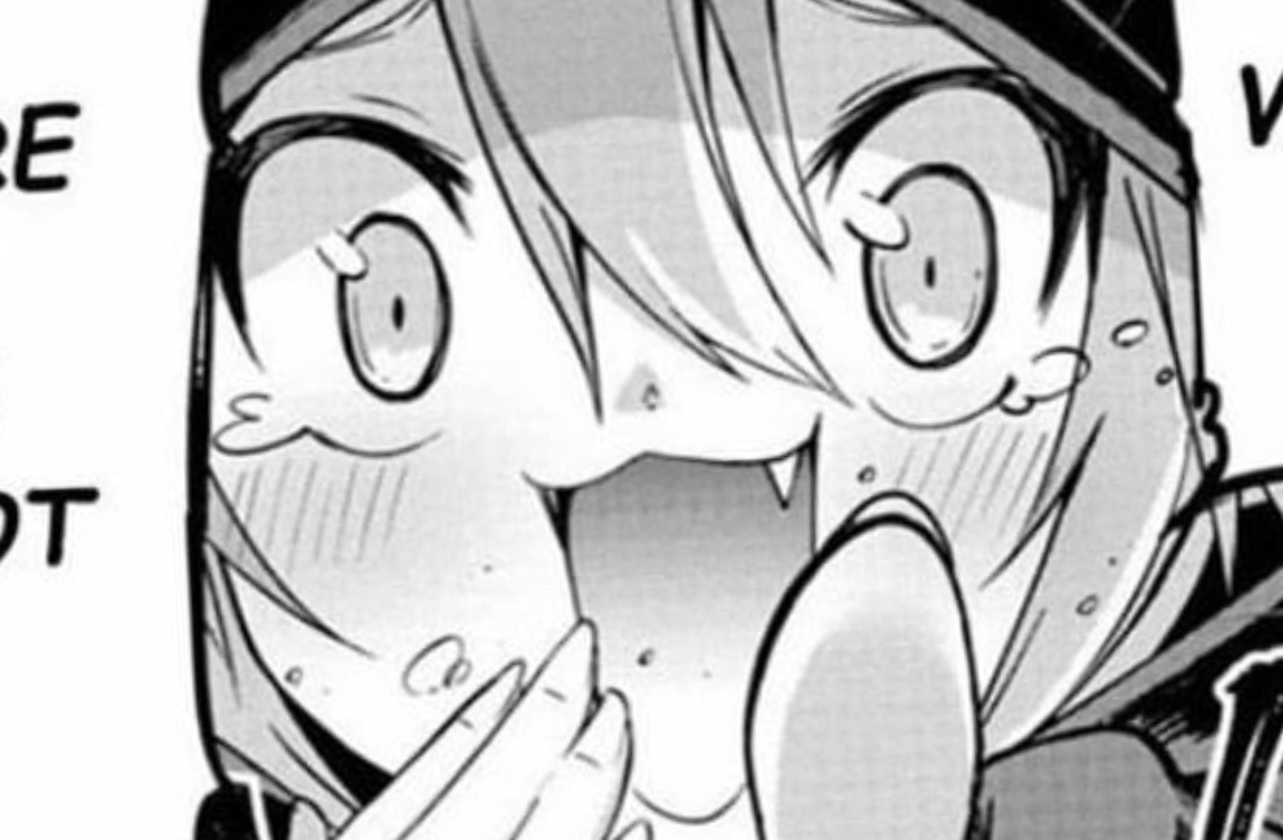 Sera Panel