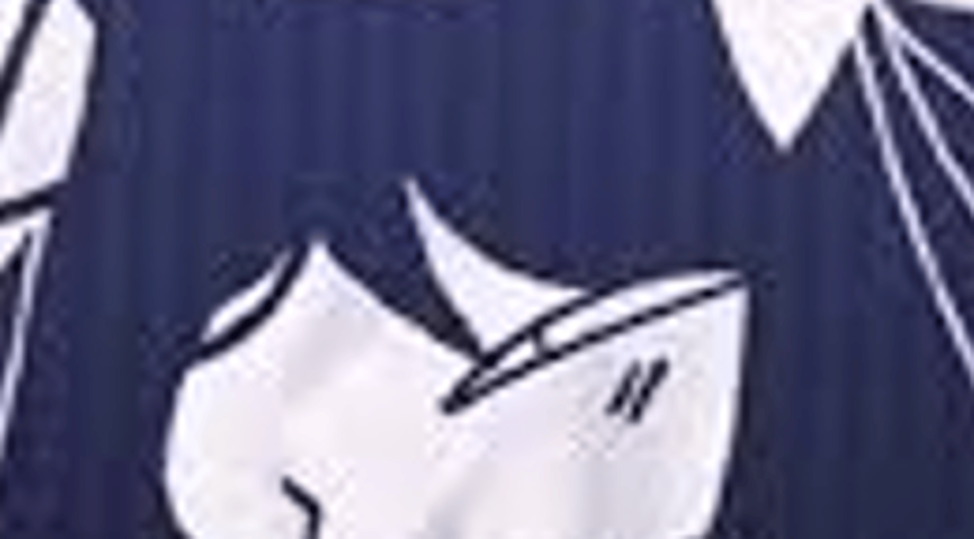lizzy(fpe)