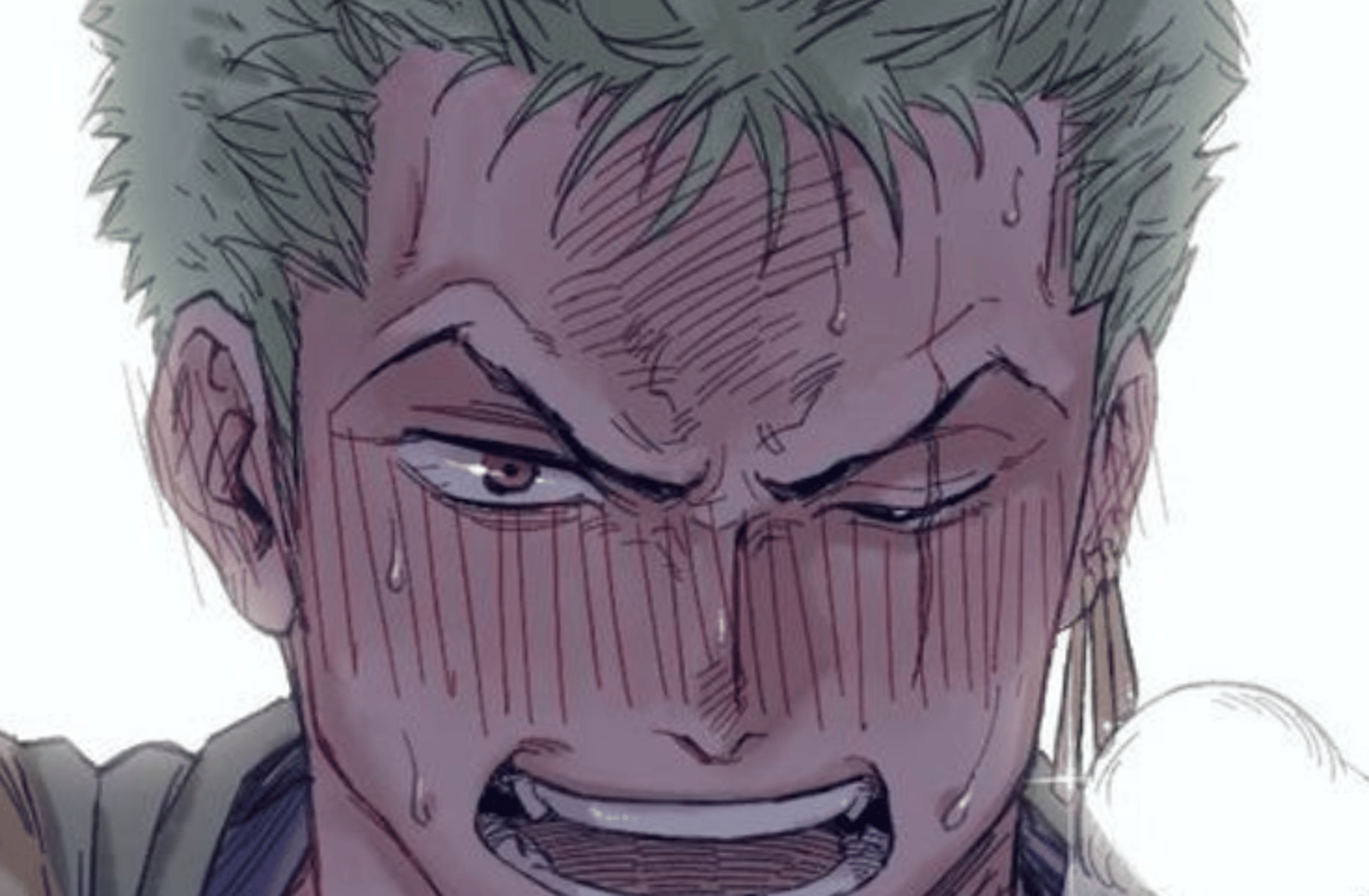 Zoro