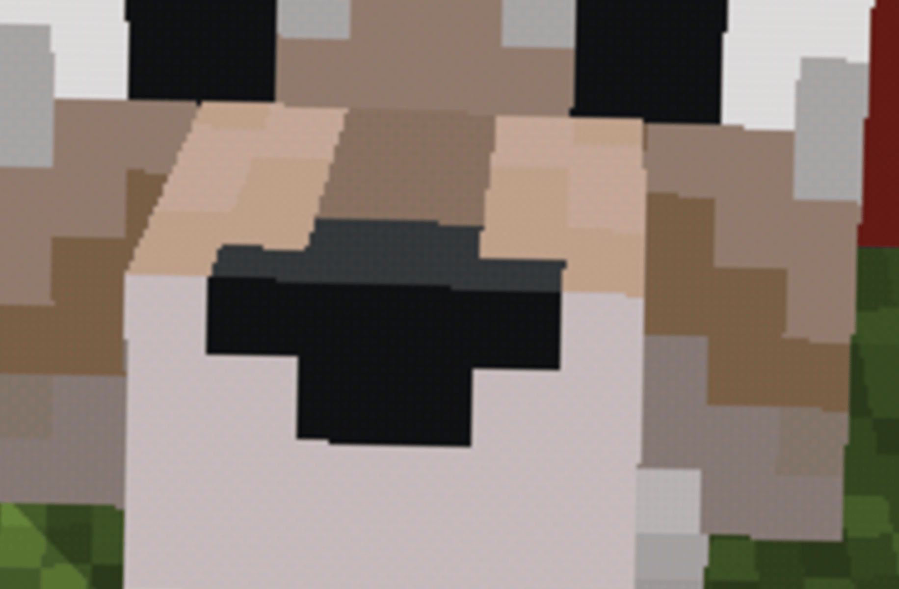 Perro