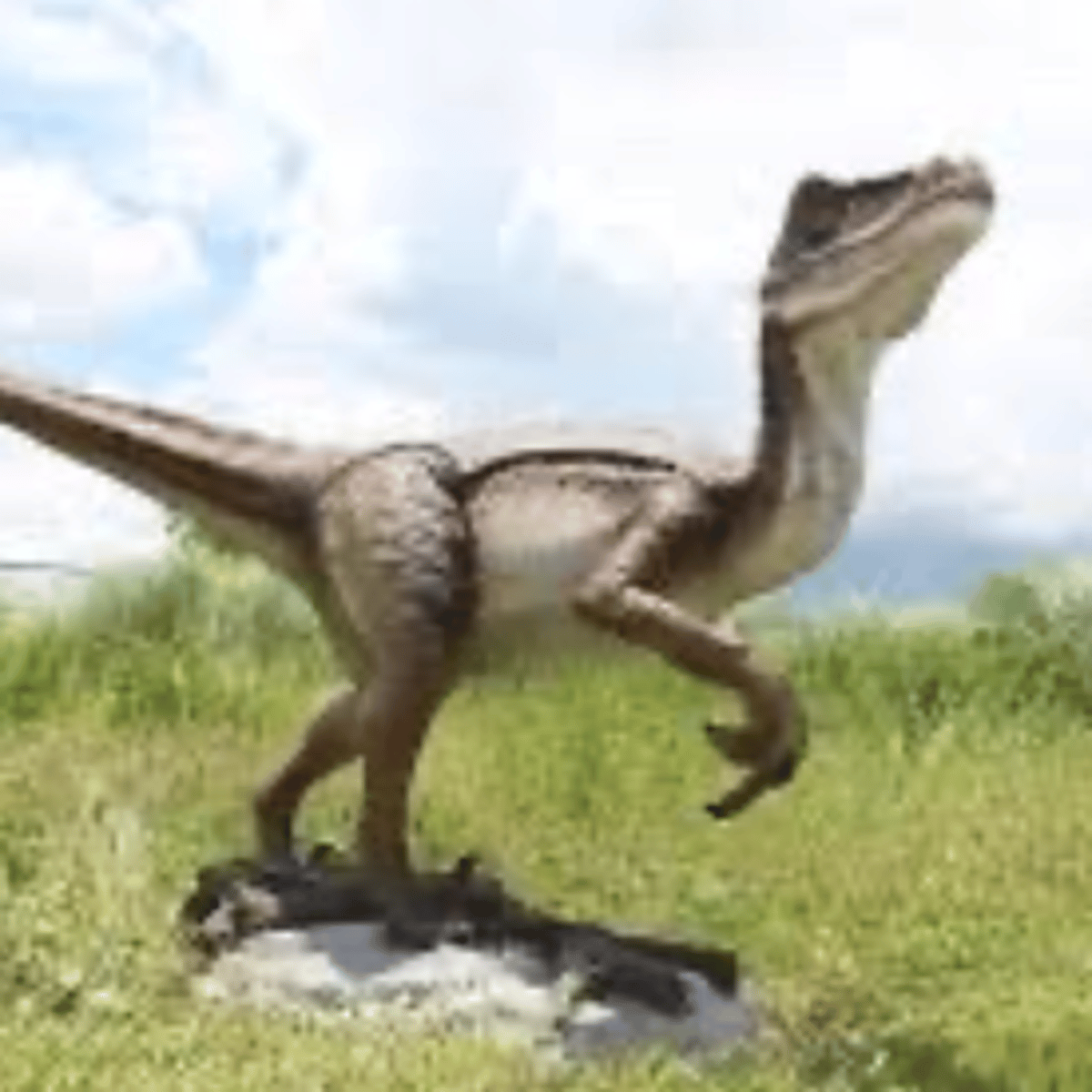 Velociraptor