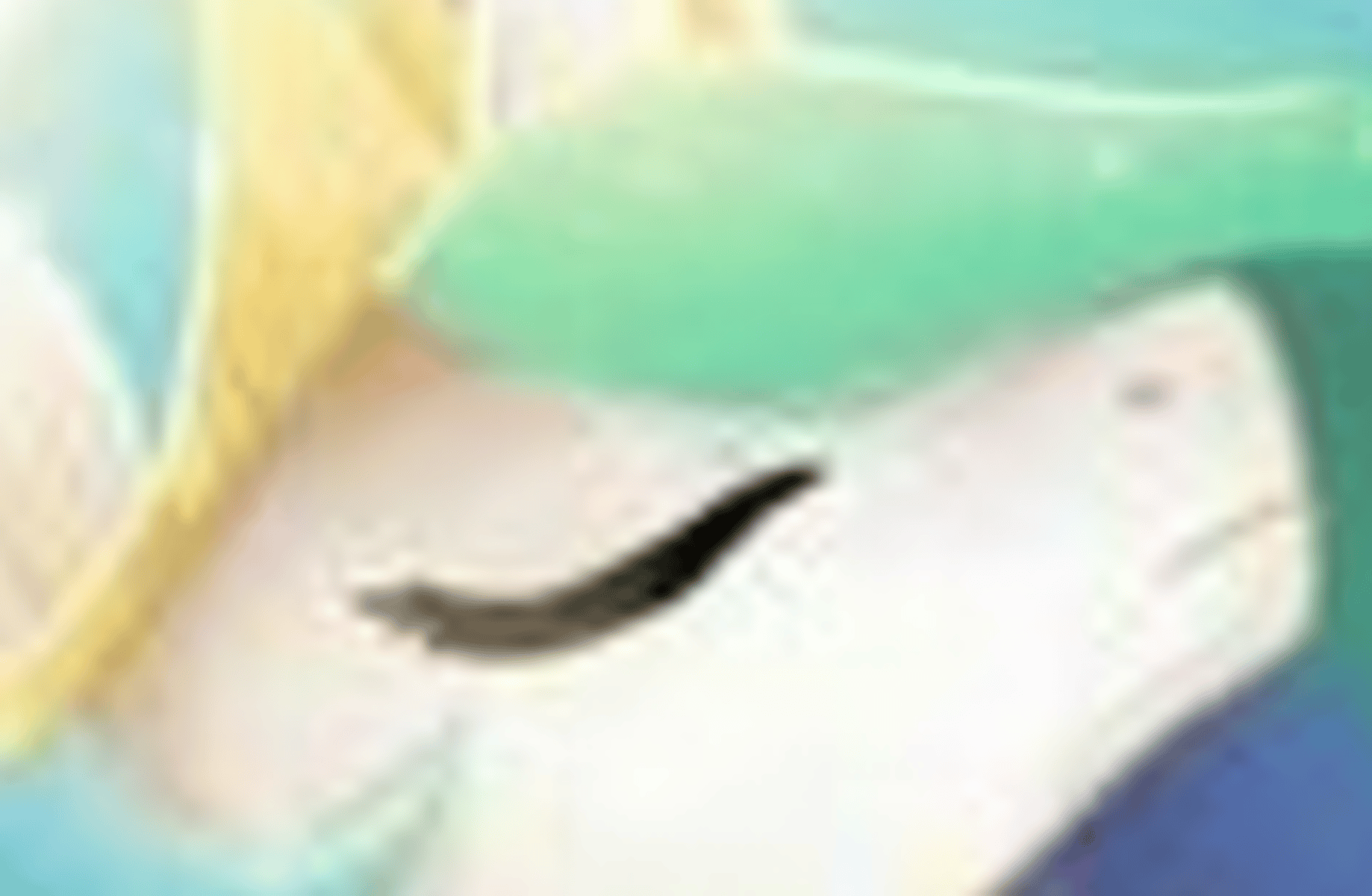 Princess celestia