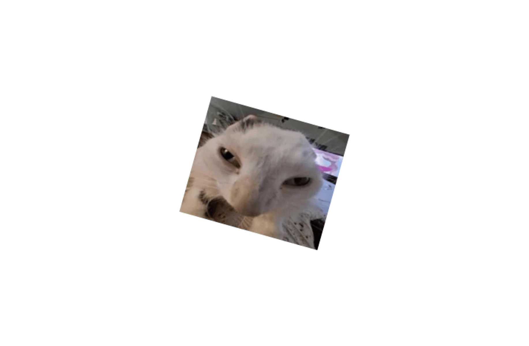 Skibidi