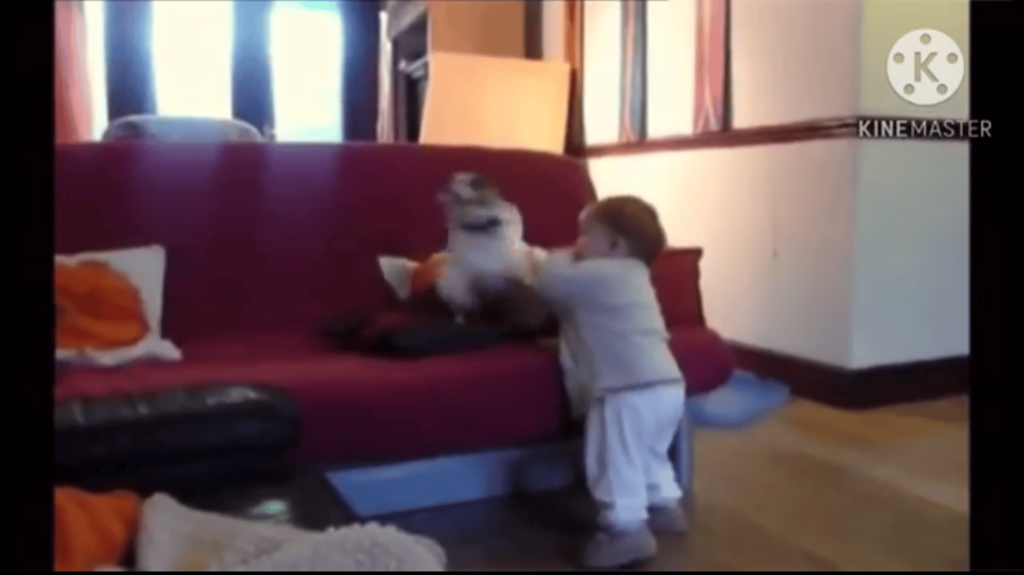 Boy
