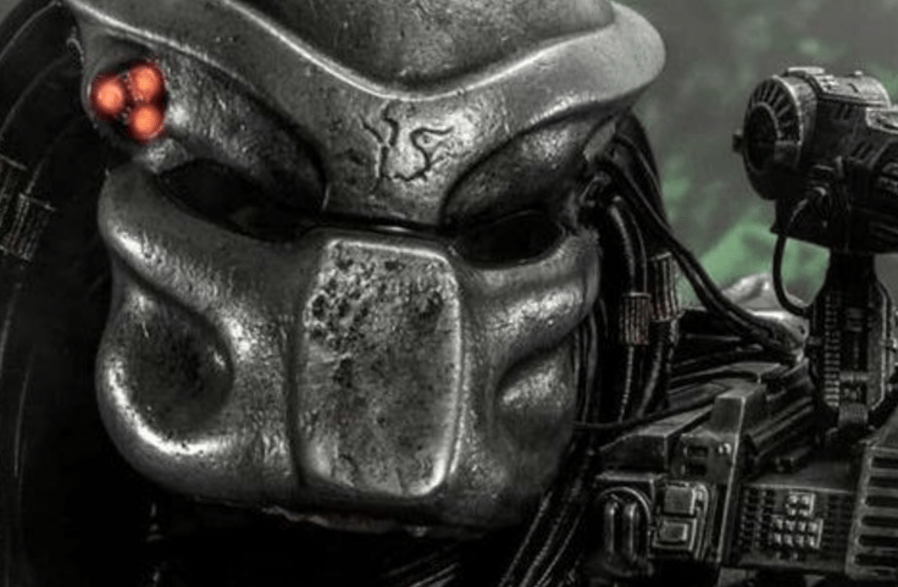 The Predator