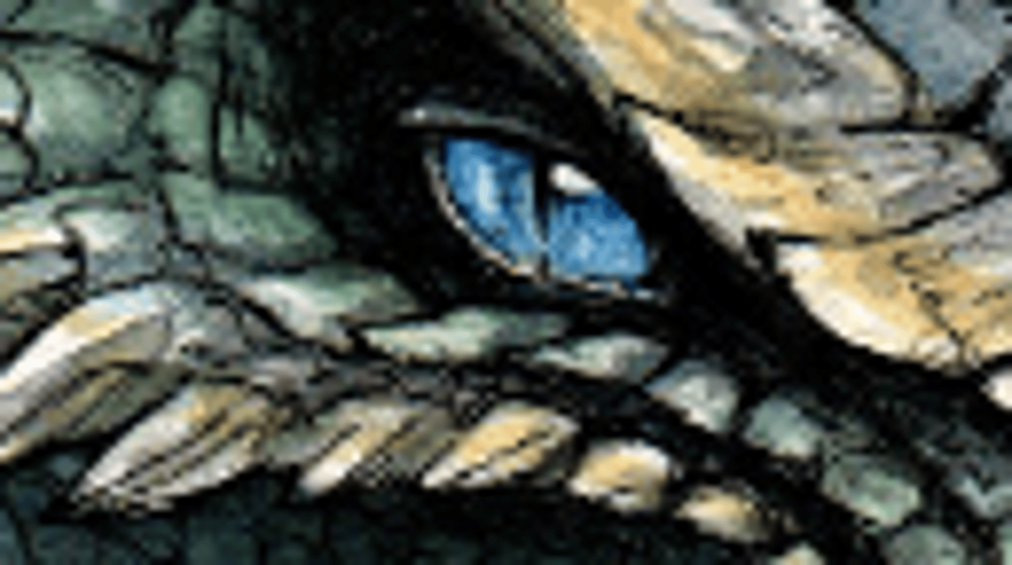 Paarthurnax (Wise Friend)