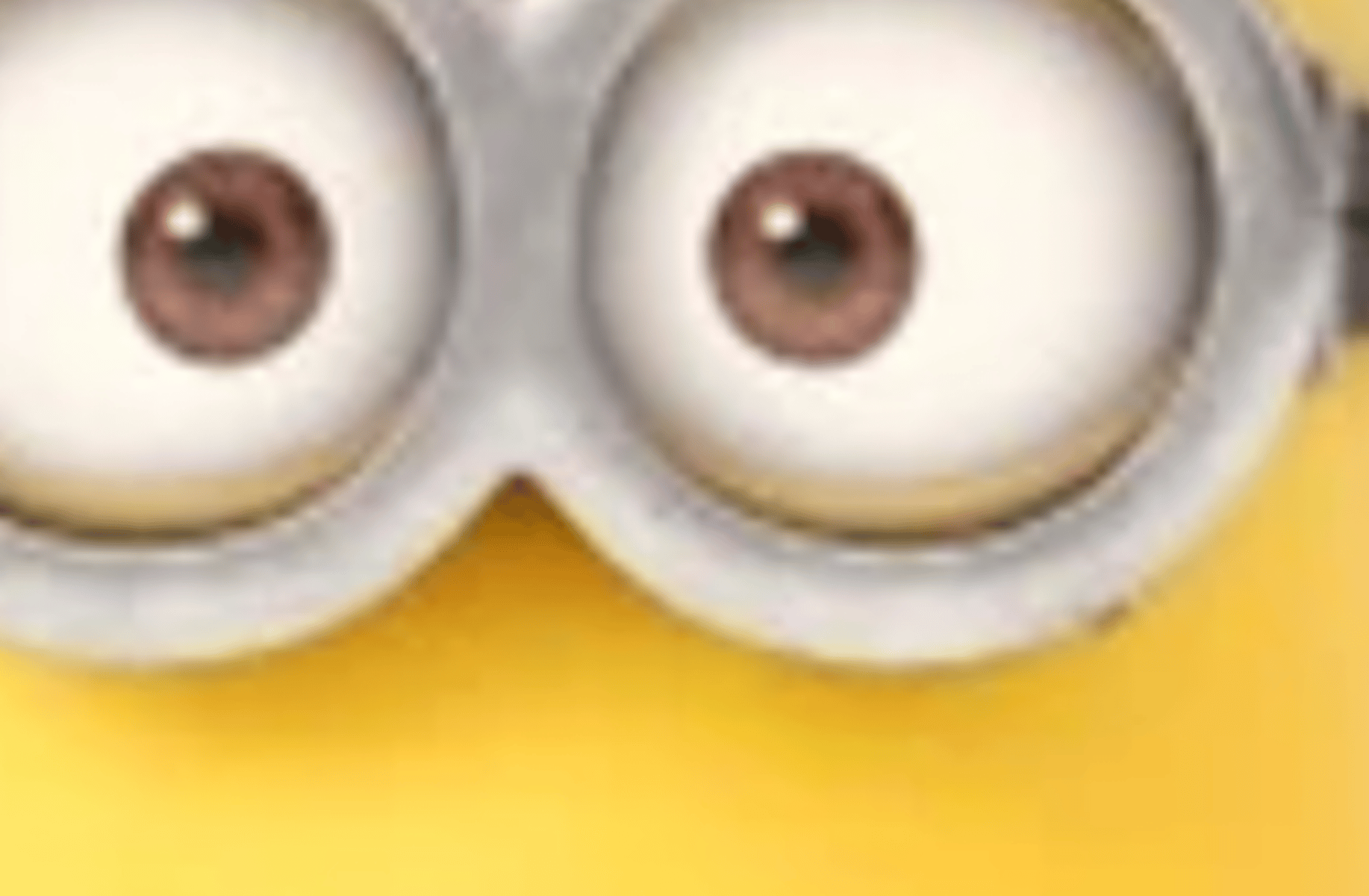 Bob