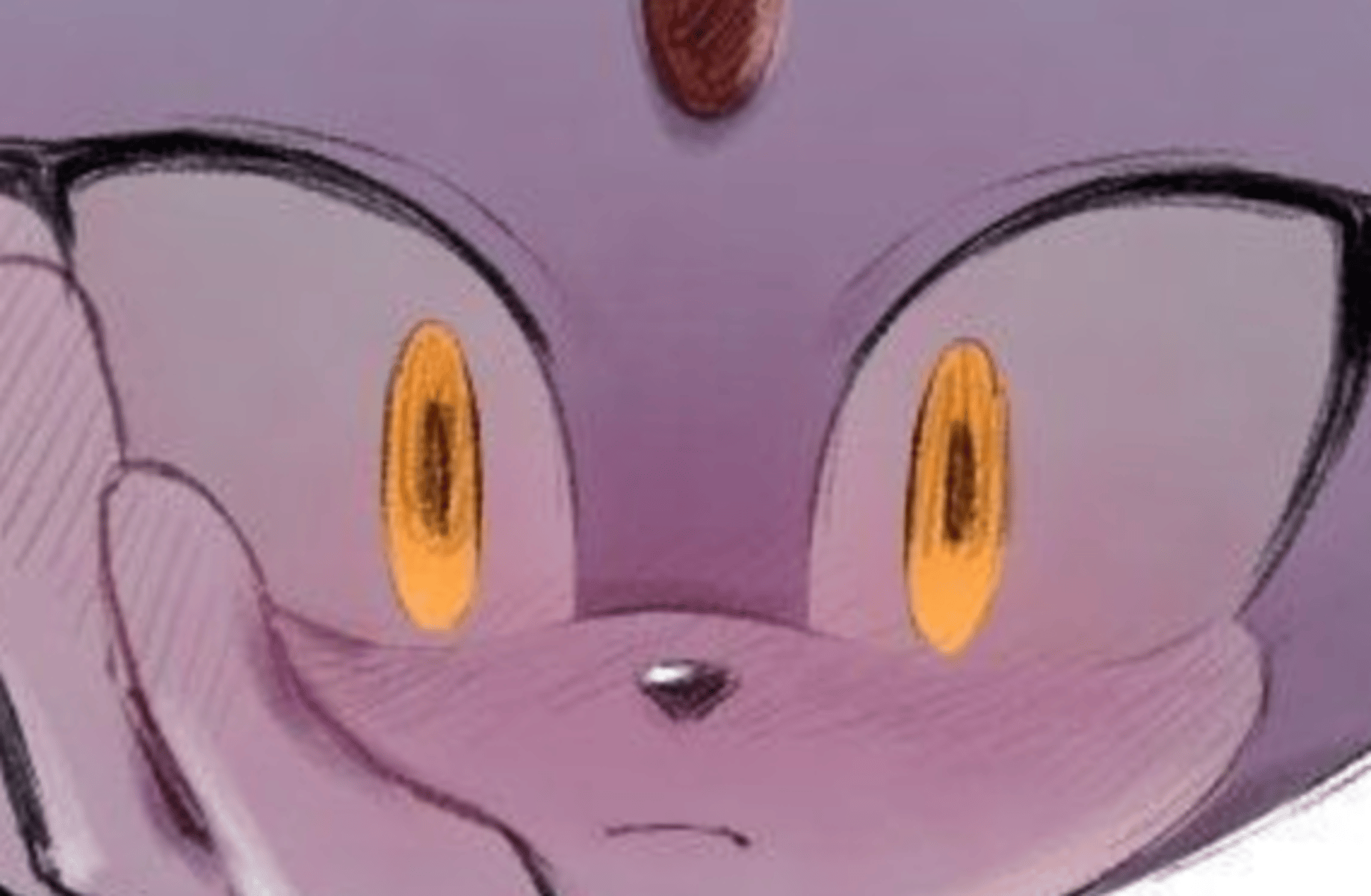 Blaze the Cat