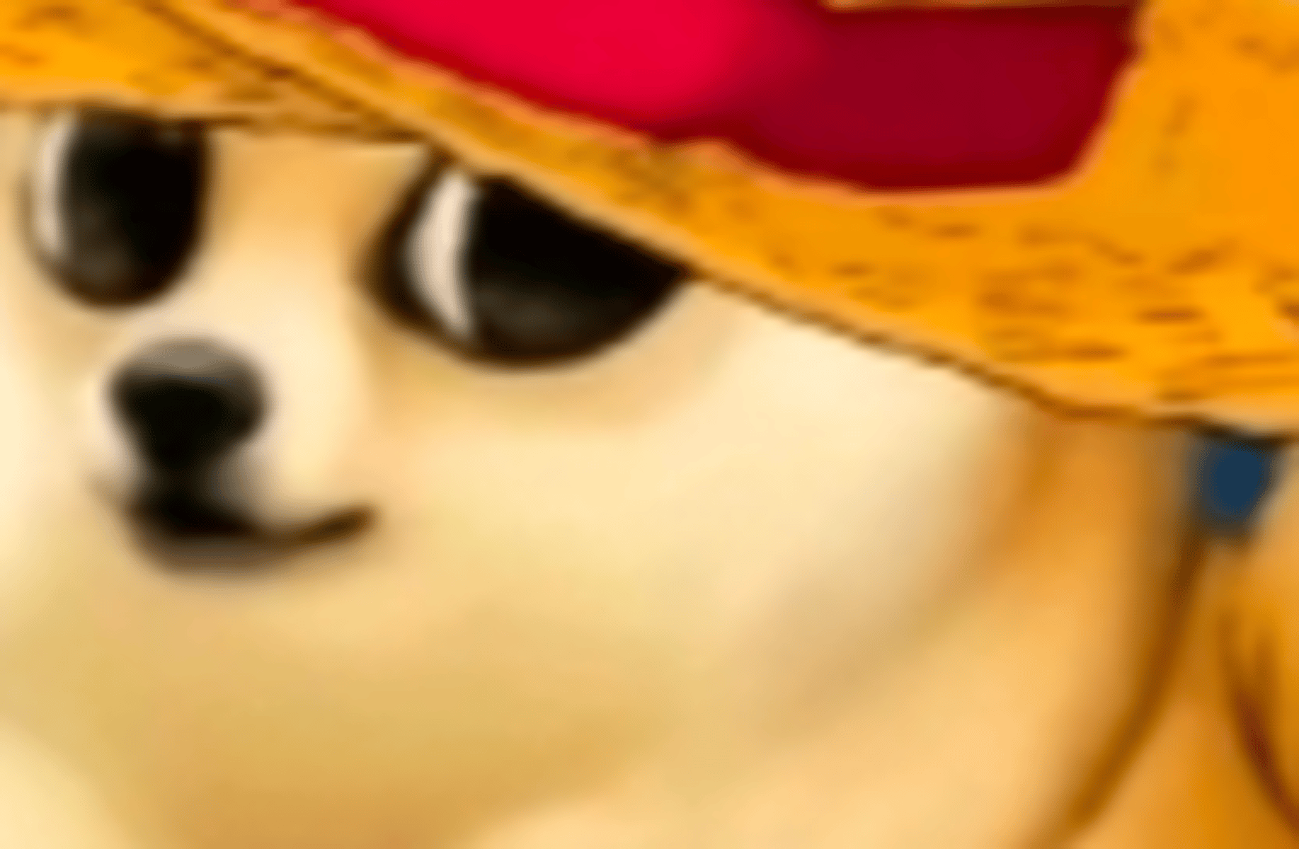 Luffy puppy