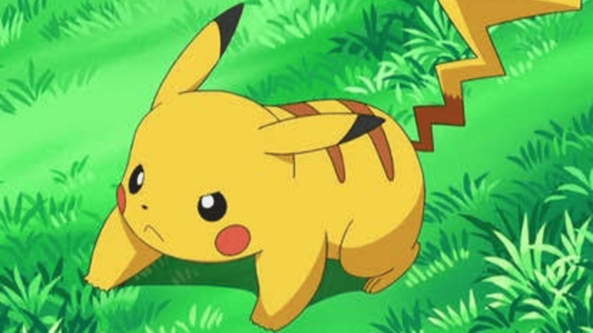 Pikachu the pokemon