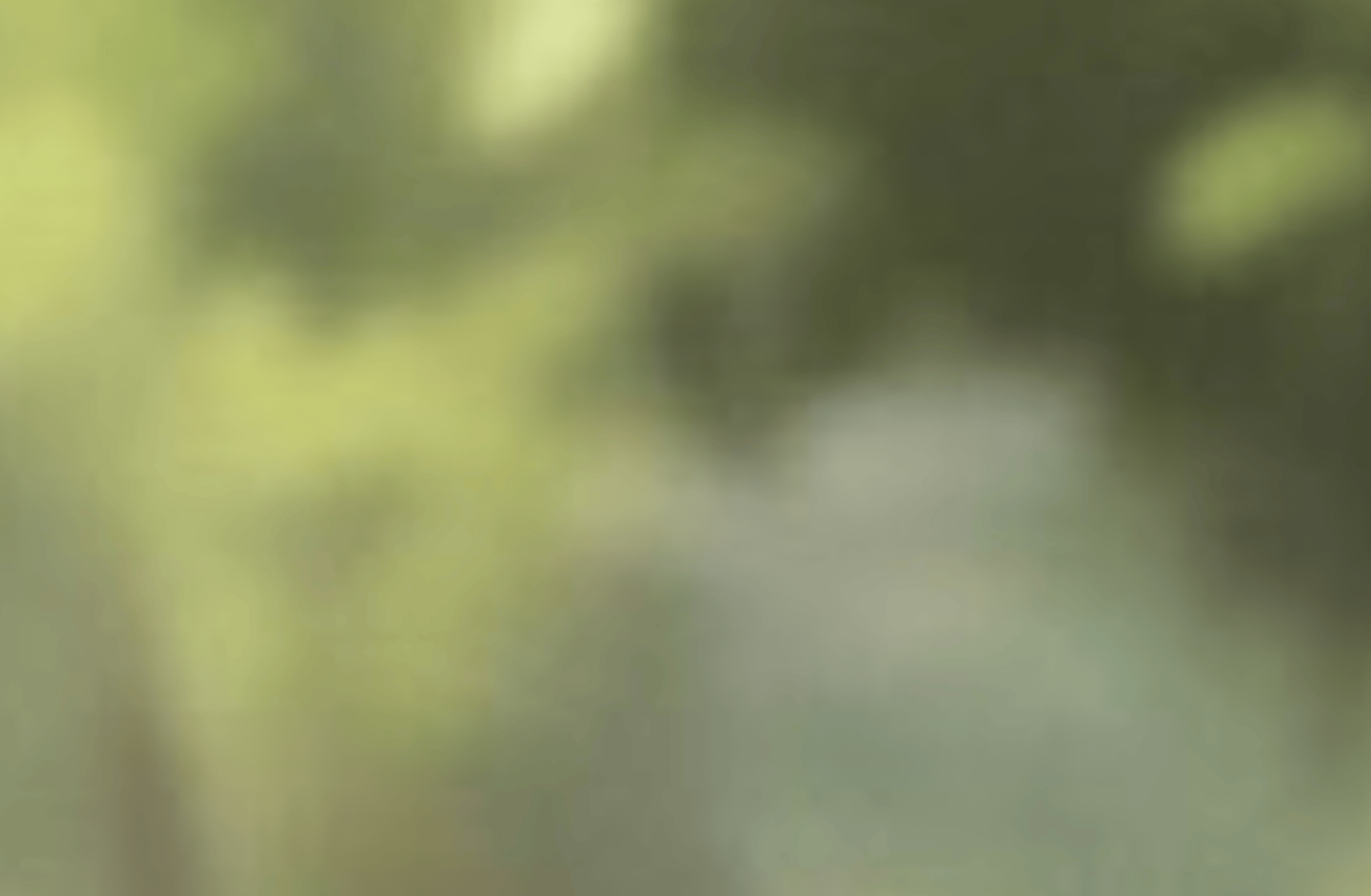 Ren