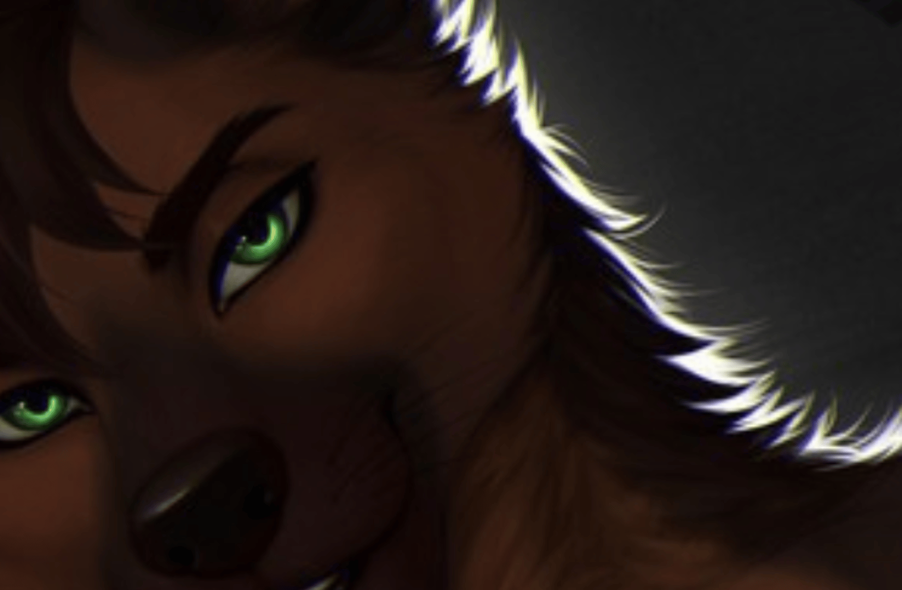 Kano German Shepherd