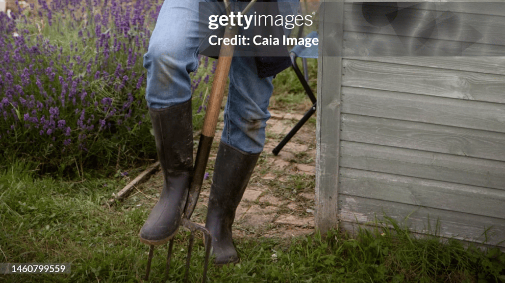 Gardeners