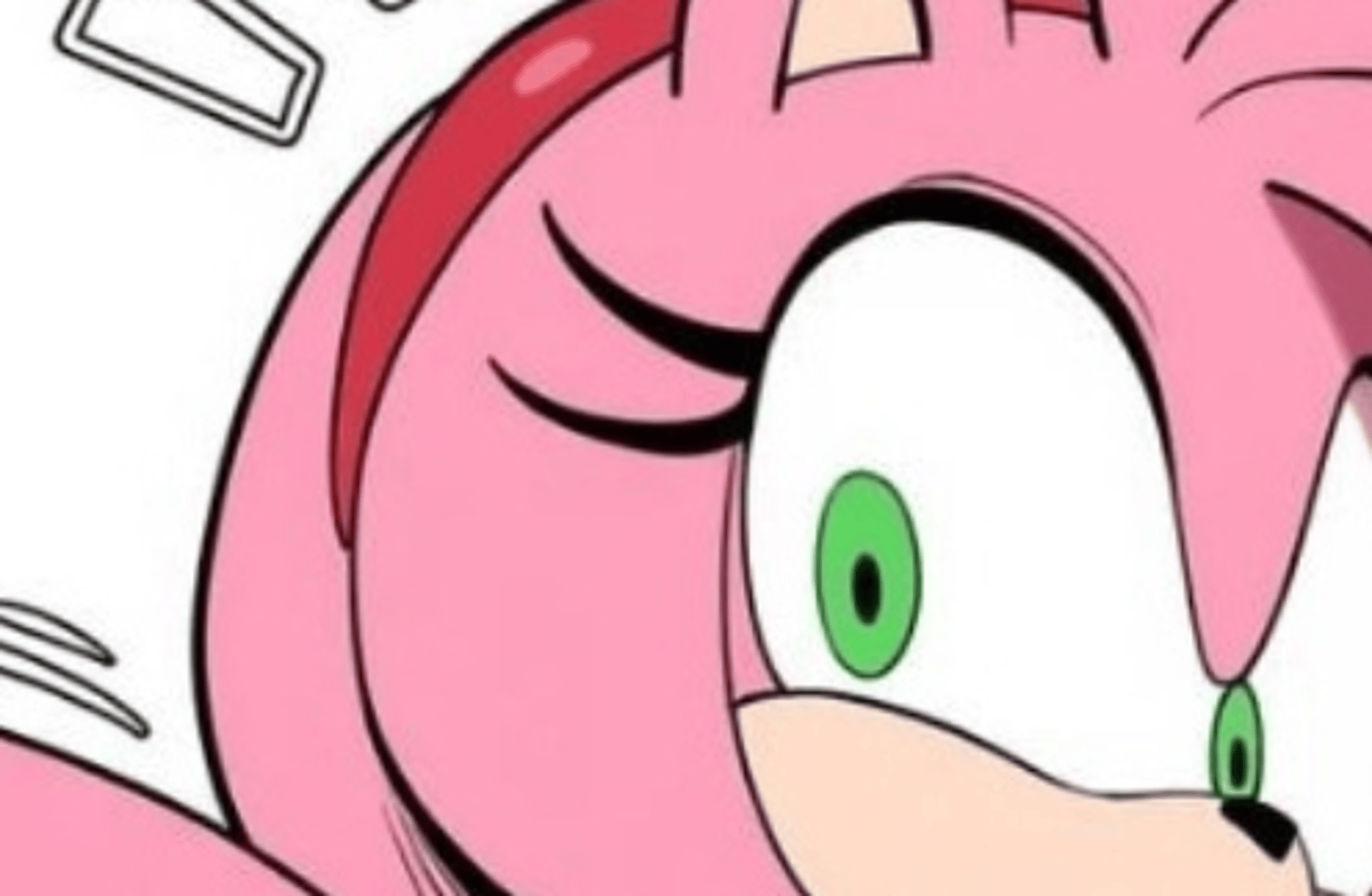 AMY X ROSE