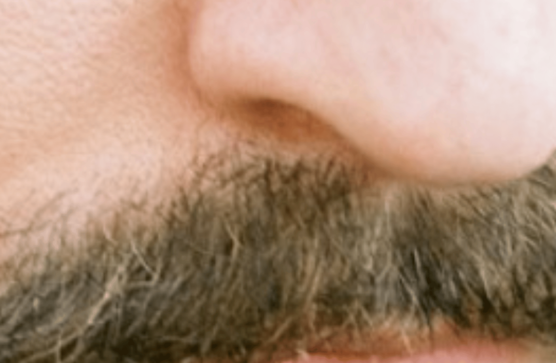 Mr Mo