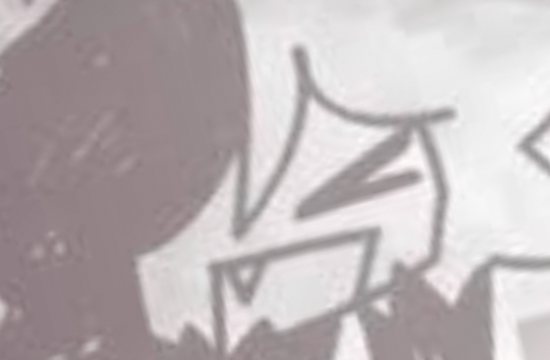 Zip fpe bully