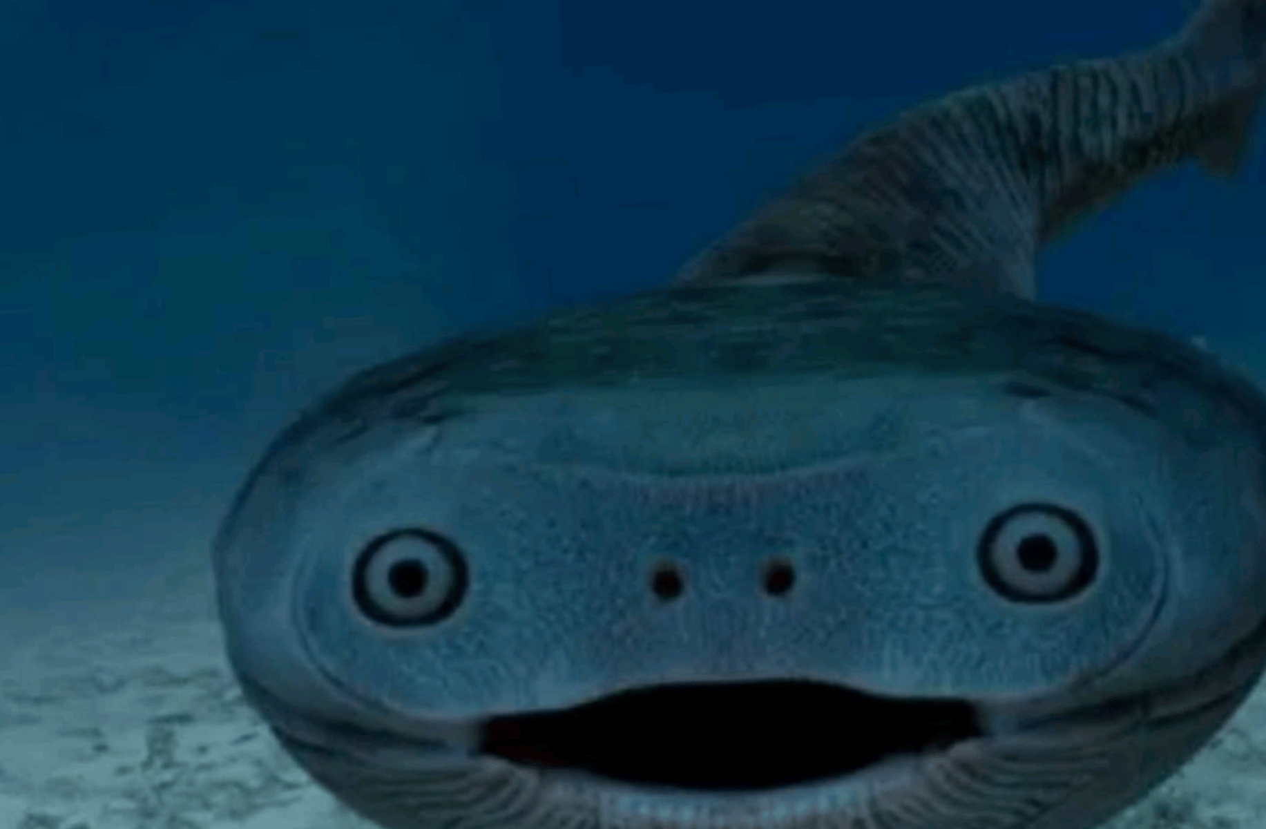 Mikey