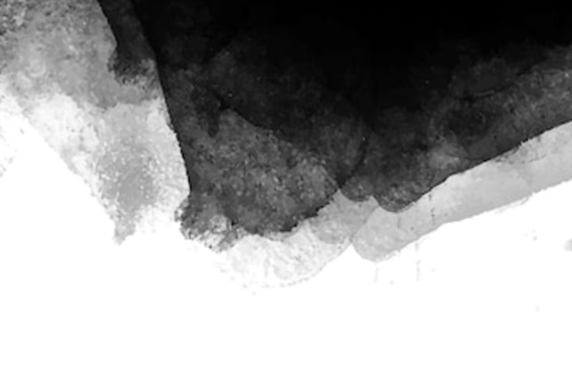 Parasite