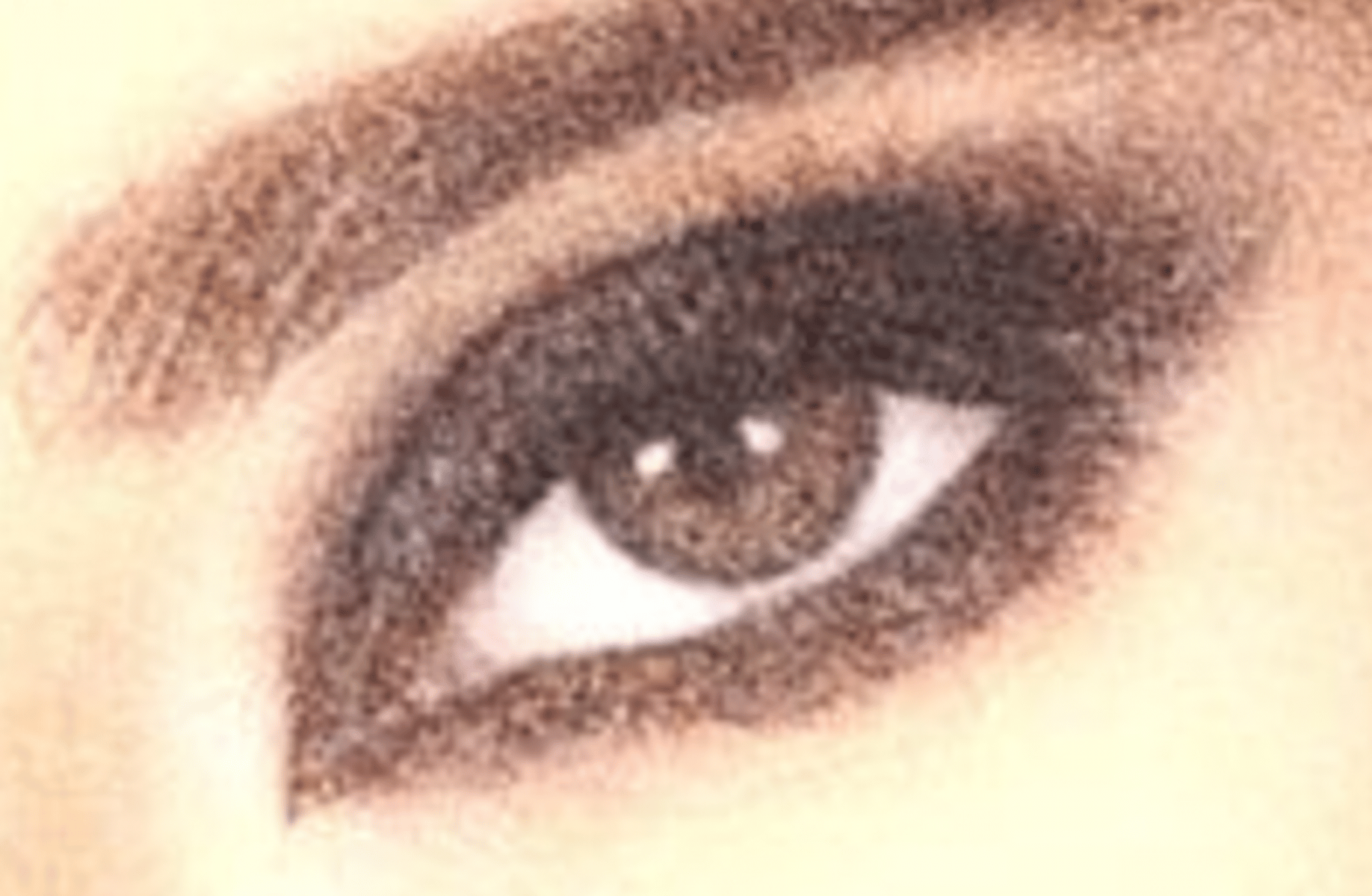 Bill Kaulitz