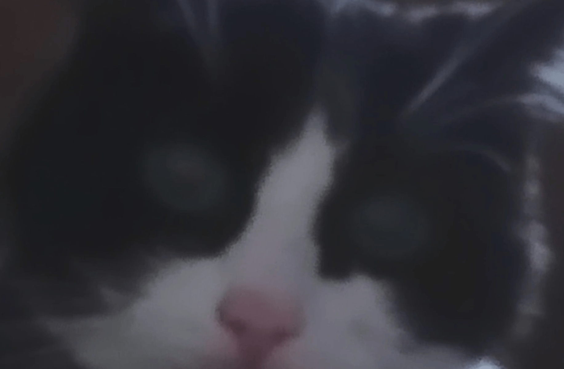 Jack