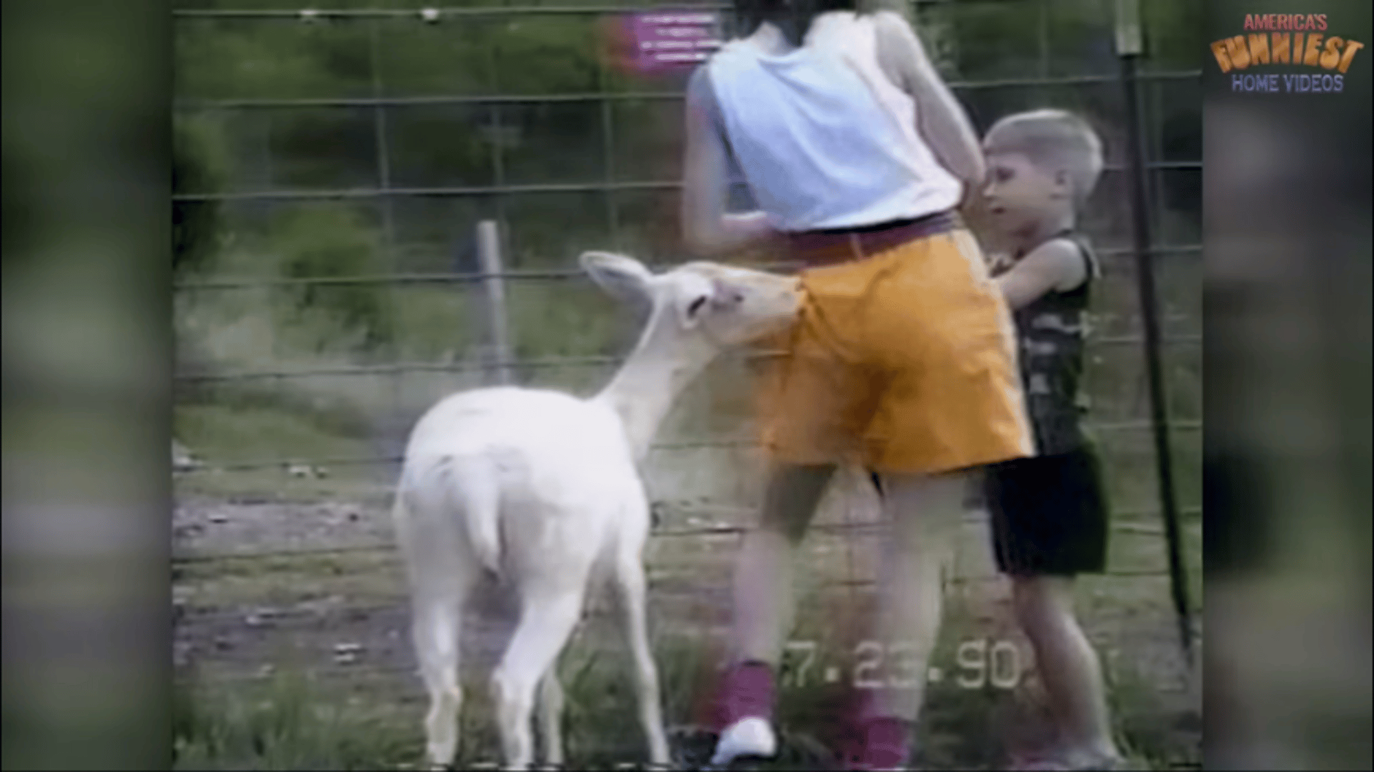 Boy