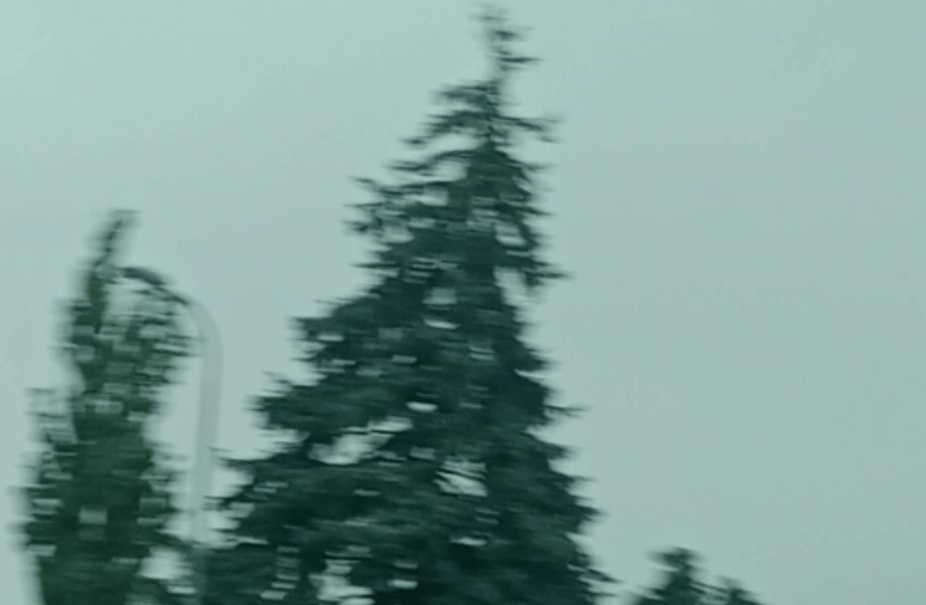 Nishimura Riki - SunKi