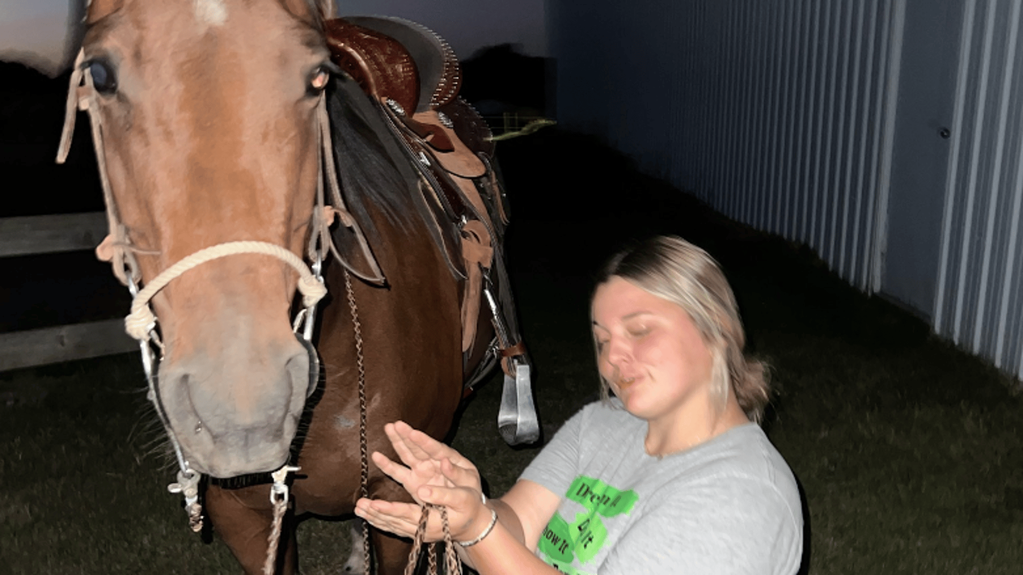 Lilly -horse trainer