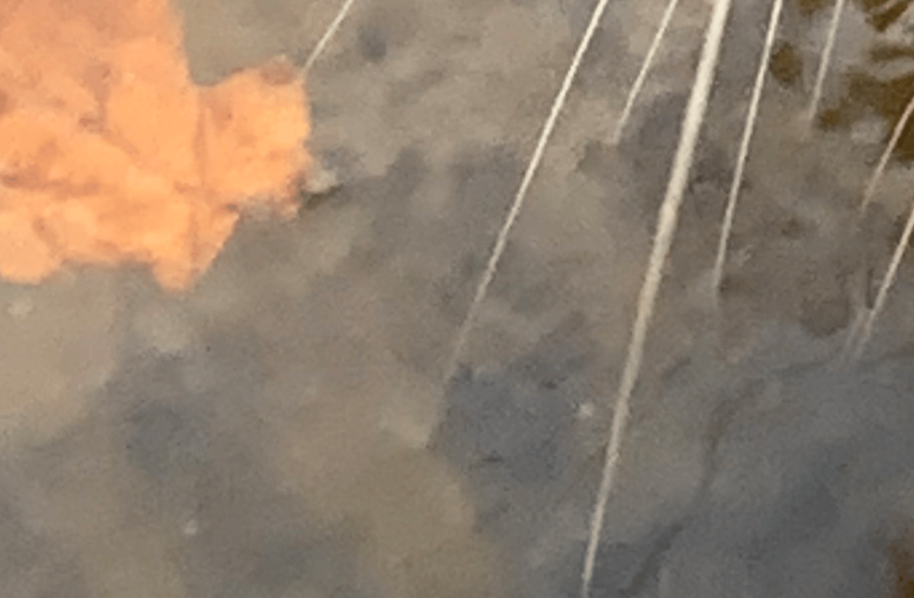 Sobranie igra v kalmara