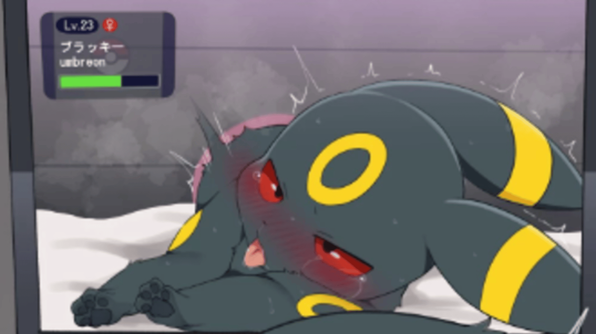 Umbreon (female)