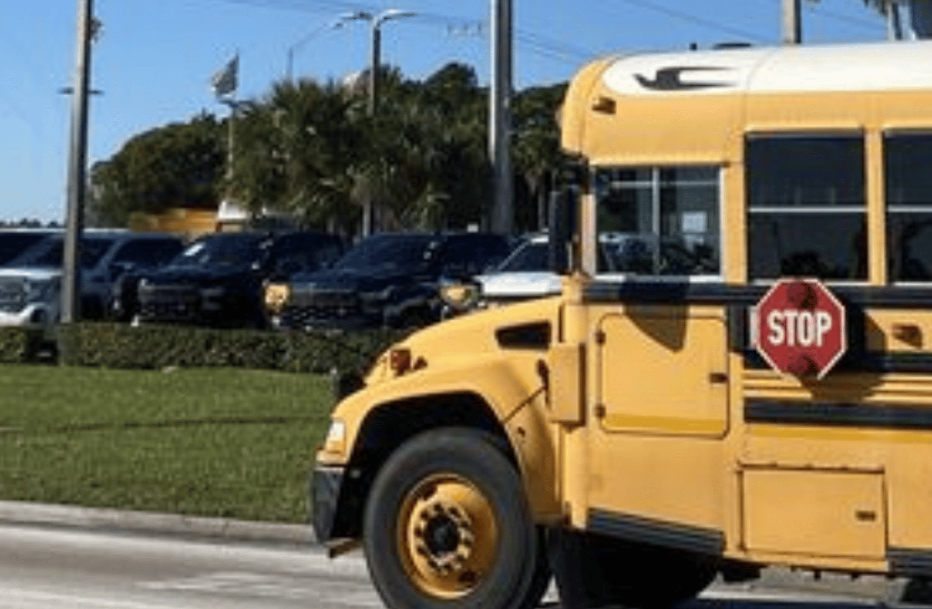 American School