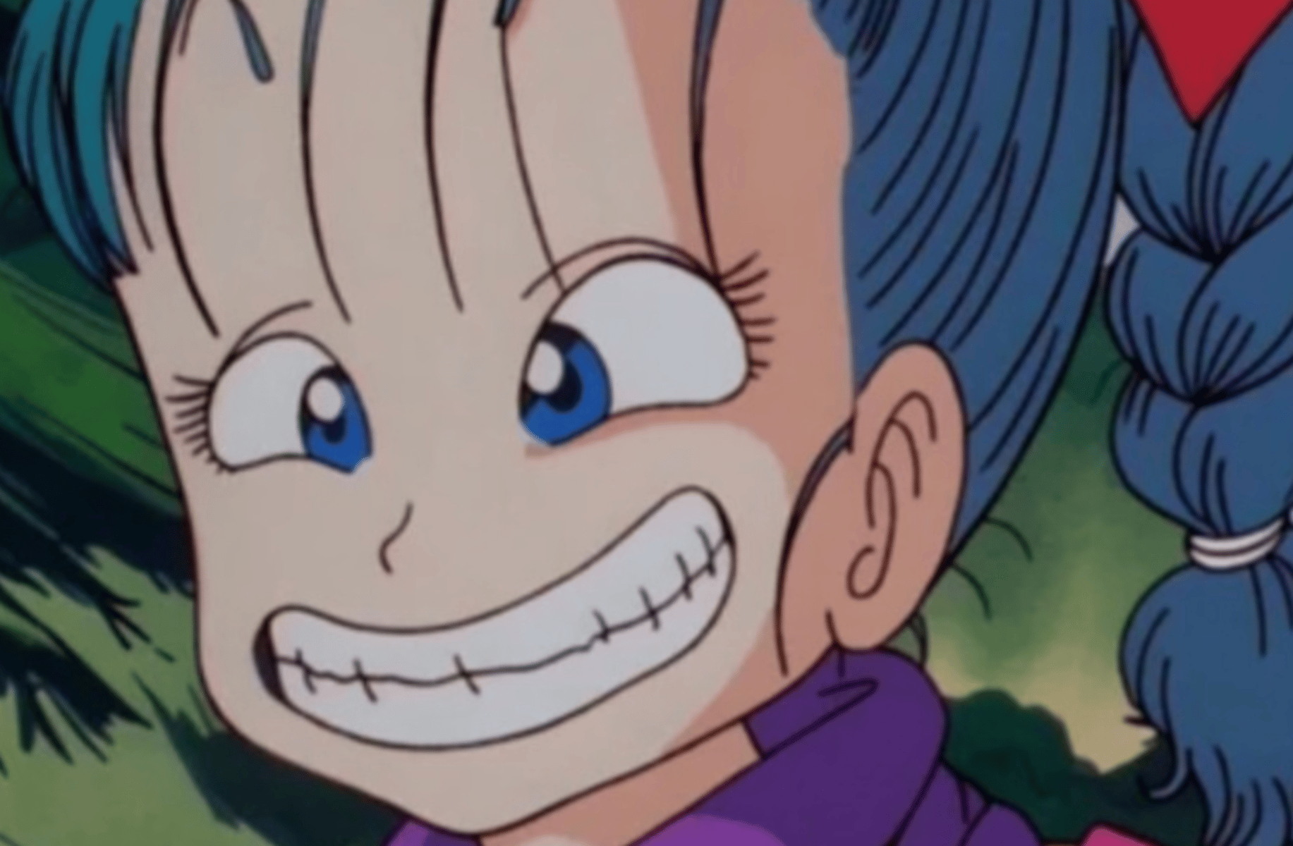 Bulma (sus)