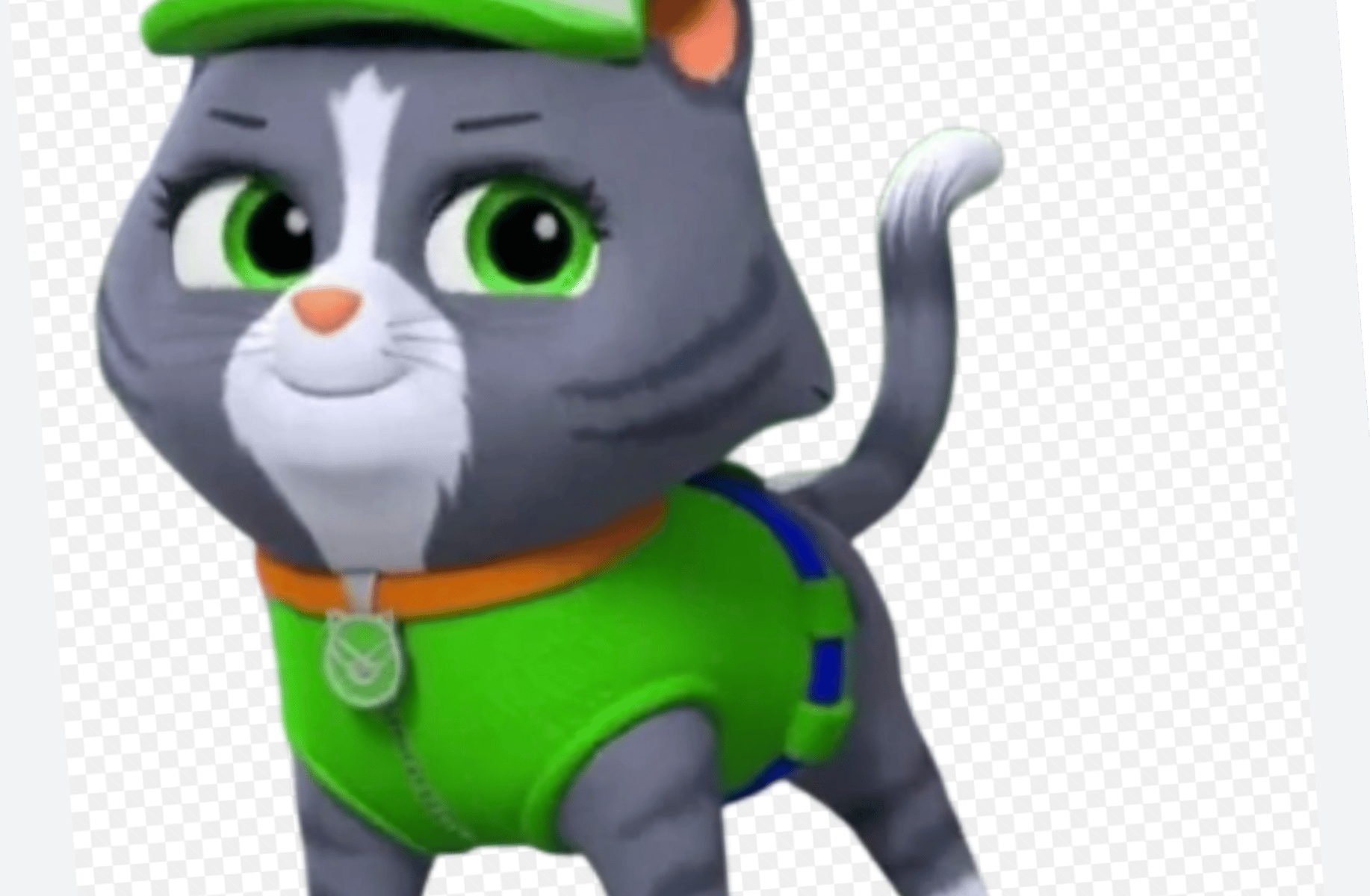 Cat rocky