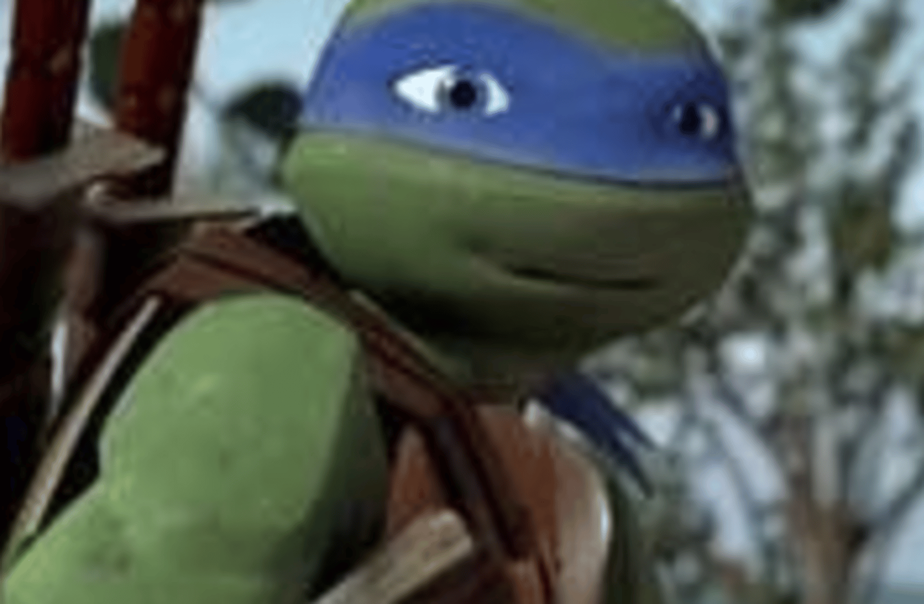 Leonardo