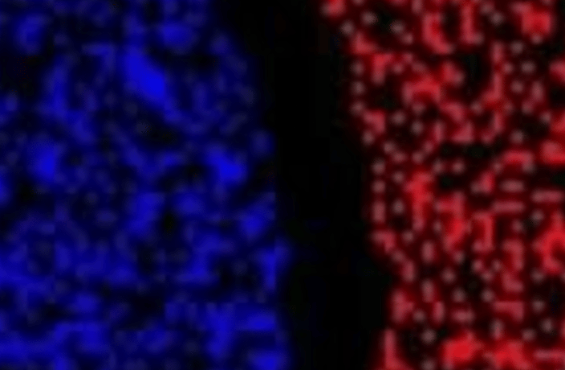 Mistress Rebecca Domme