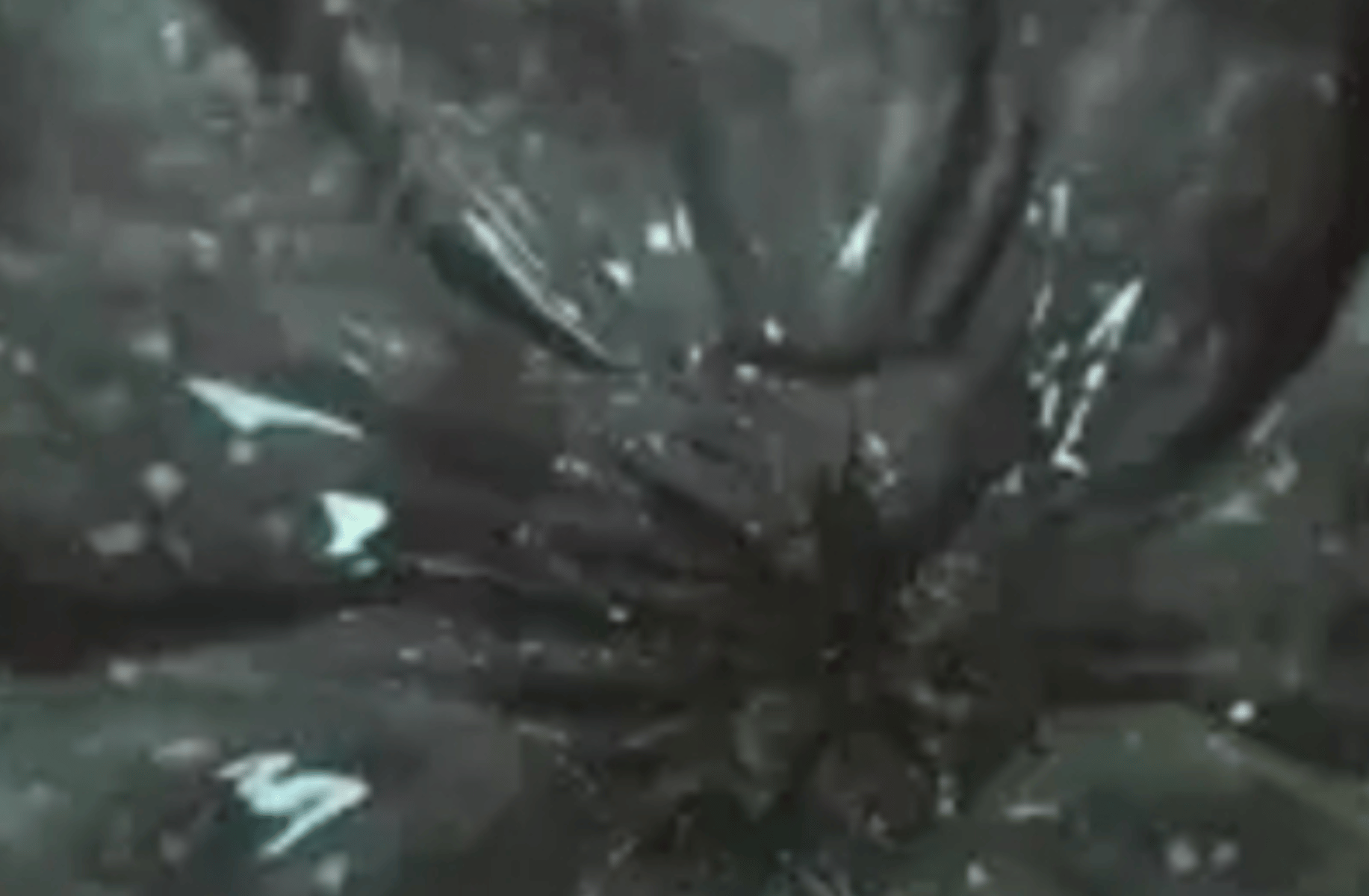 Flesh hole